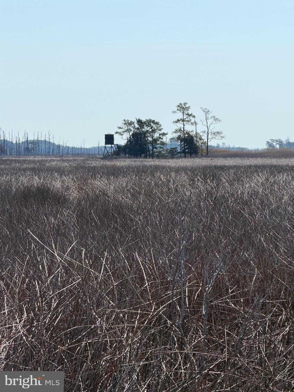 2373 Asquith Island Rd photo 45