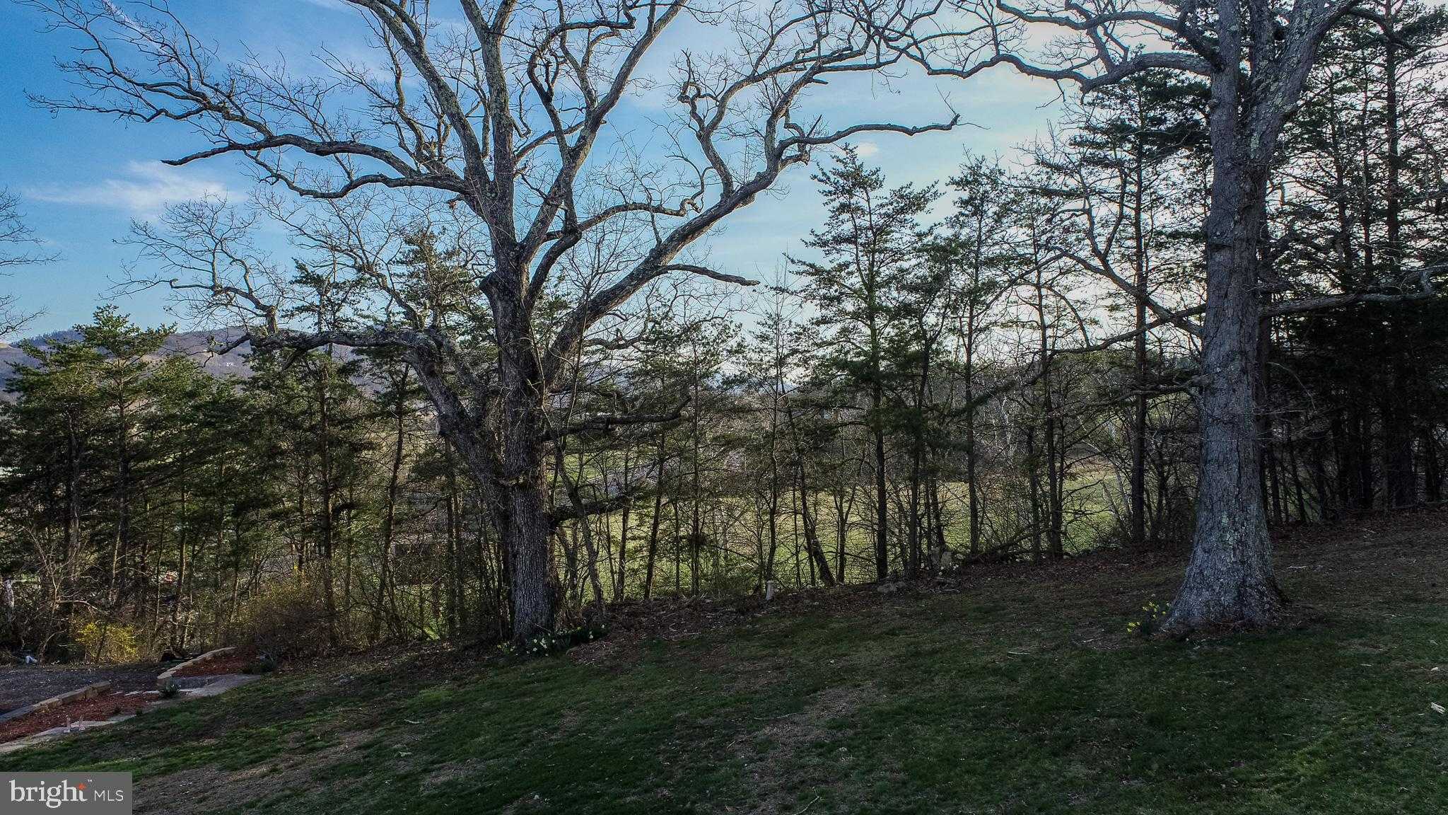 16529 Oak Crest Ln SW photo 29