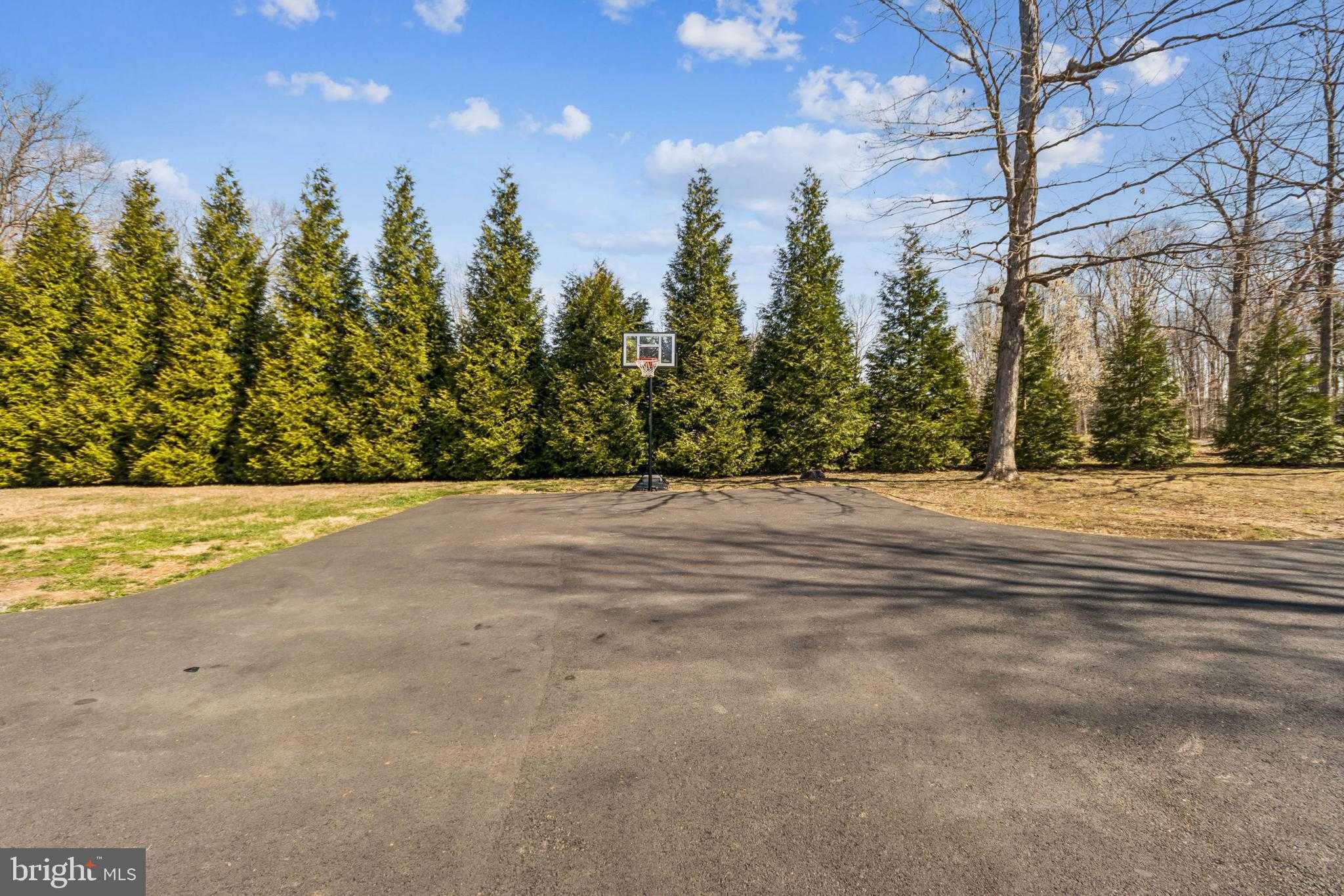 8174 Black Walnut Run Rd photo 7