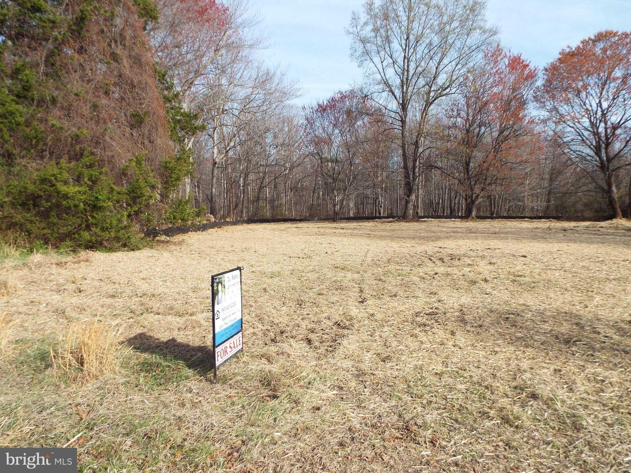 11745 Windy Acres Ln photo 6