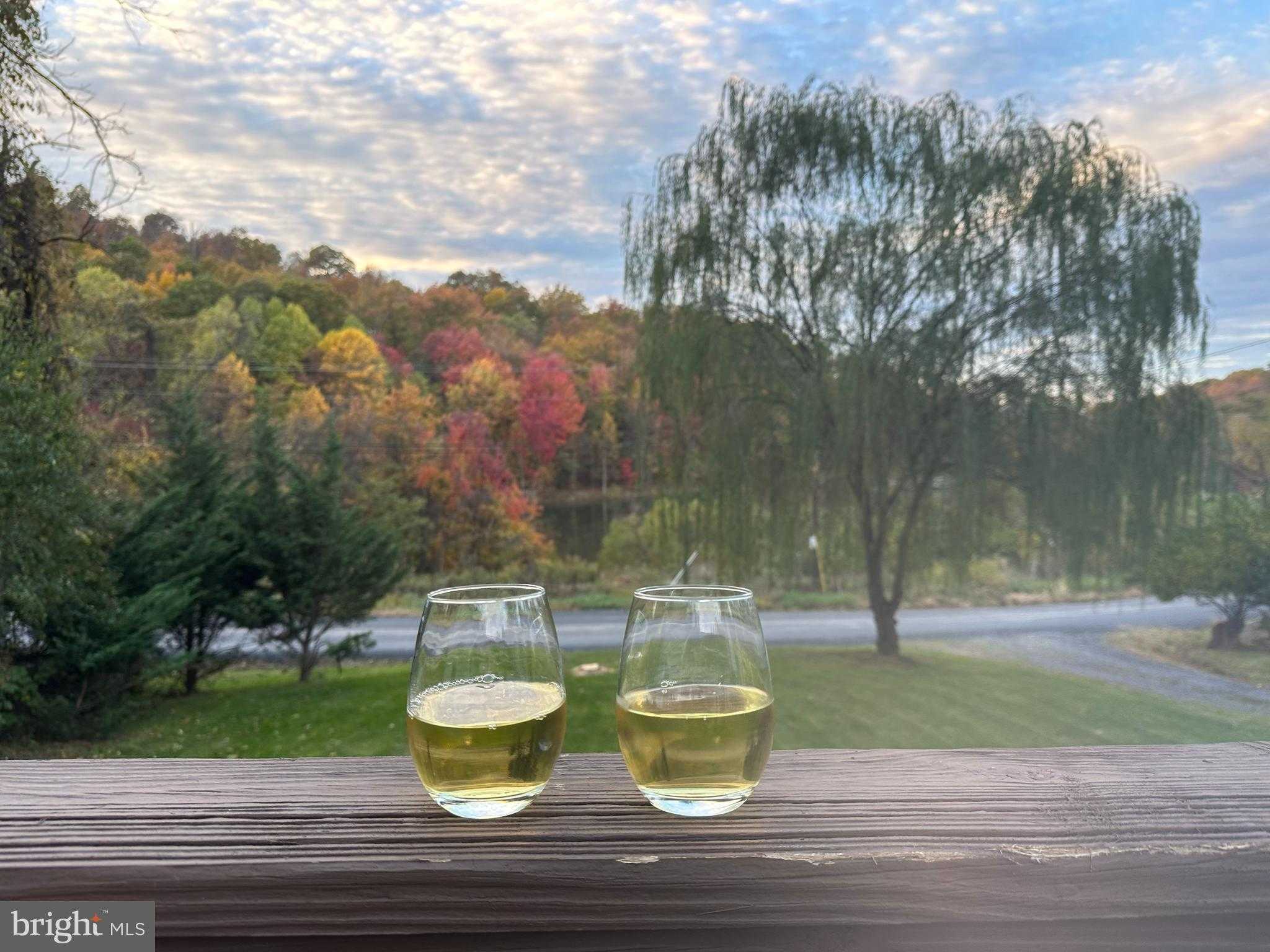 194 Venus Branch Rd photo 18