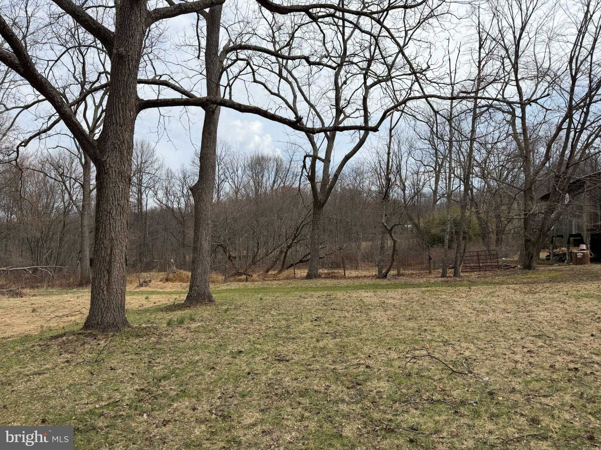 20 Ward Ln photo 102