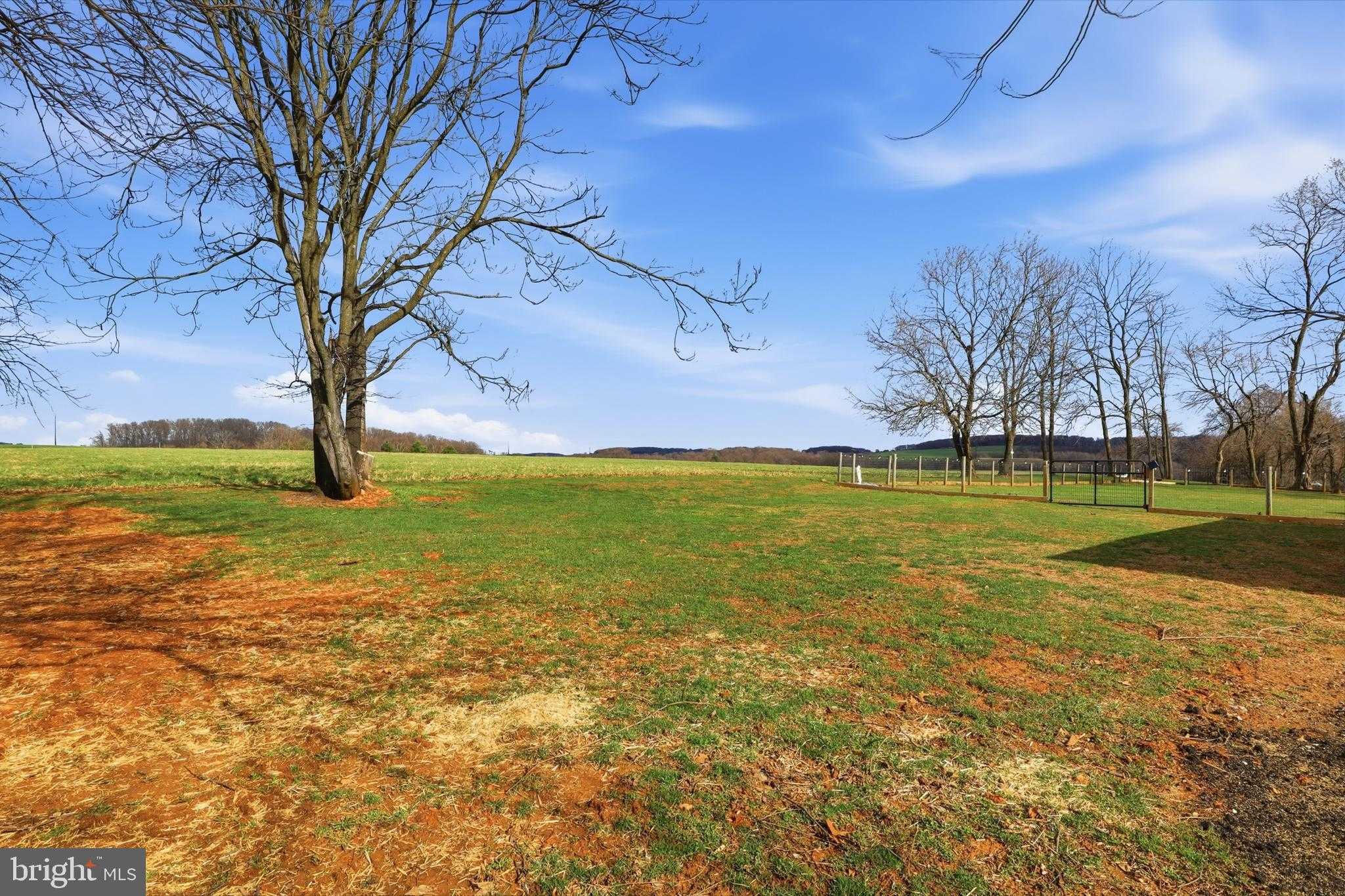 1025 White Oak Rd photo 51