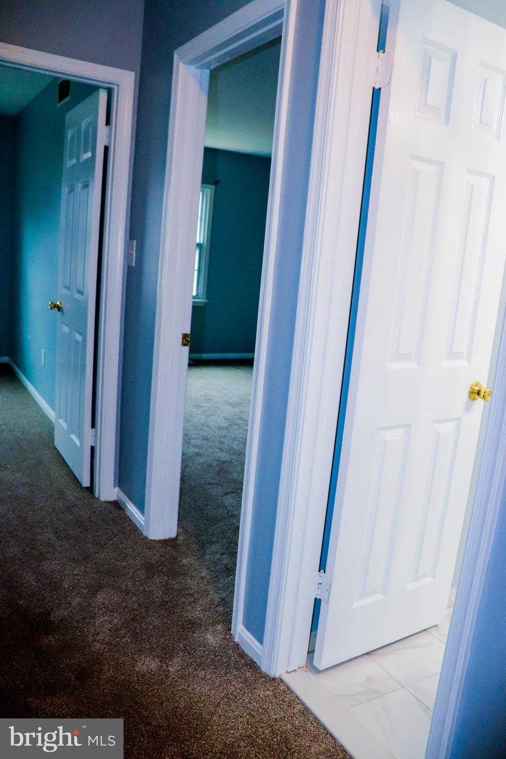 9856 Whiskey Run photo 21