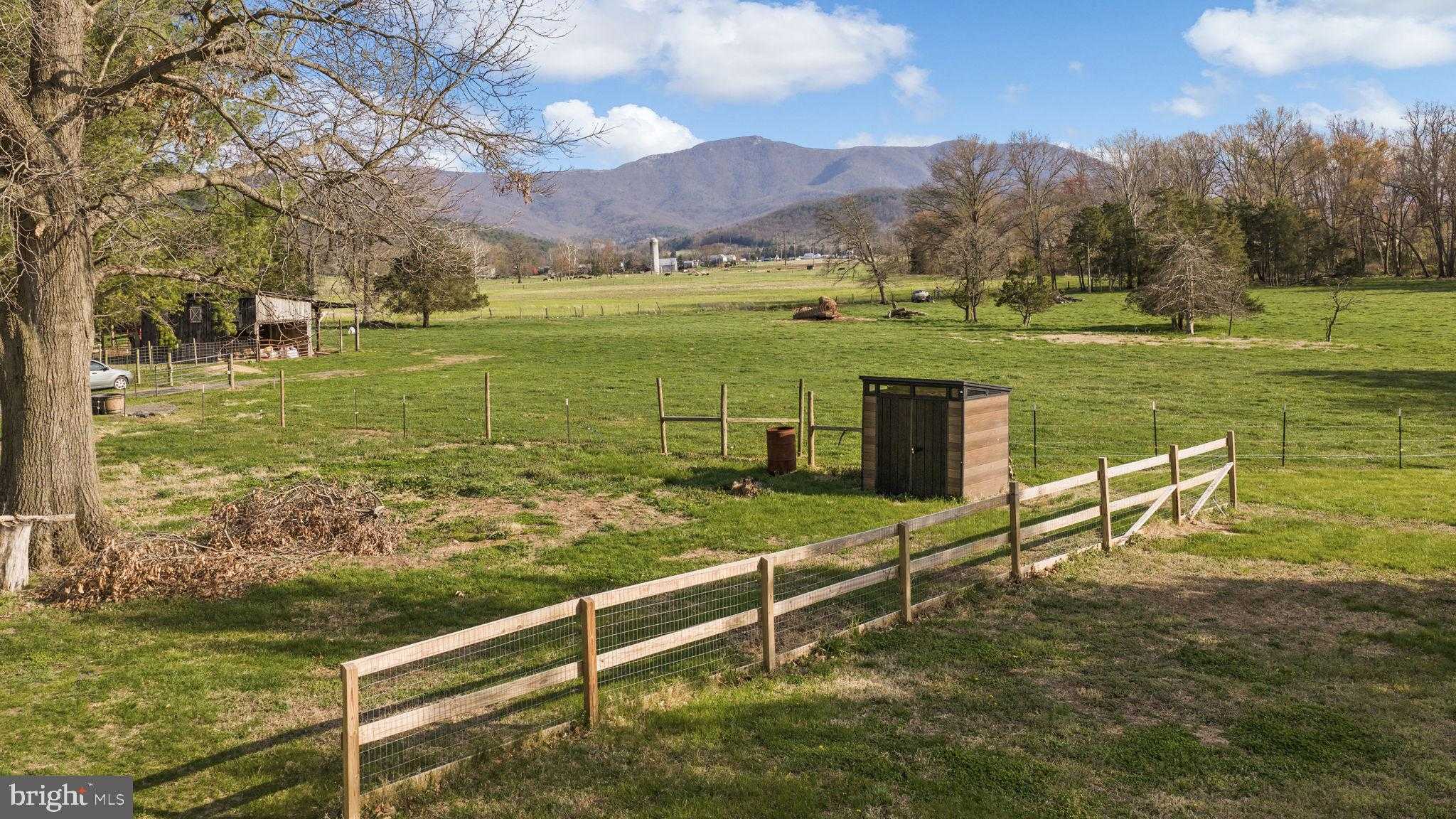 300 Martin St photo 53