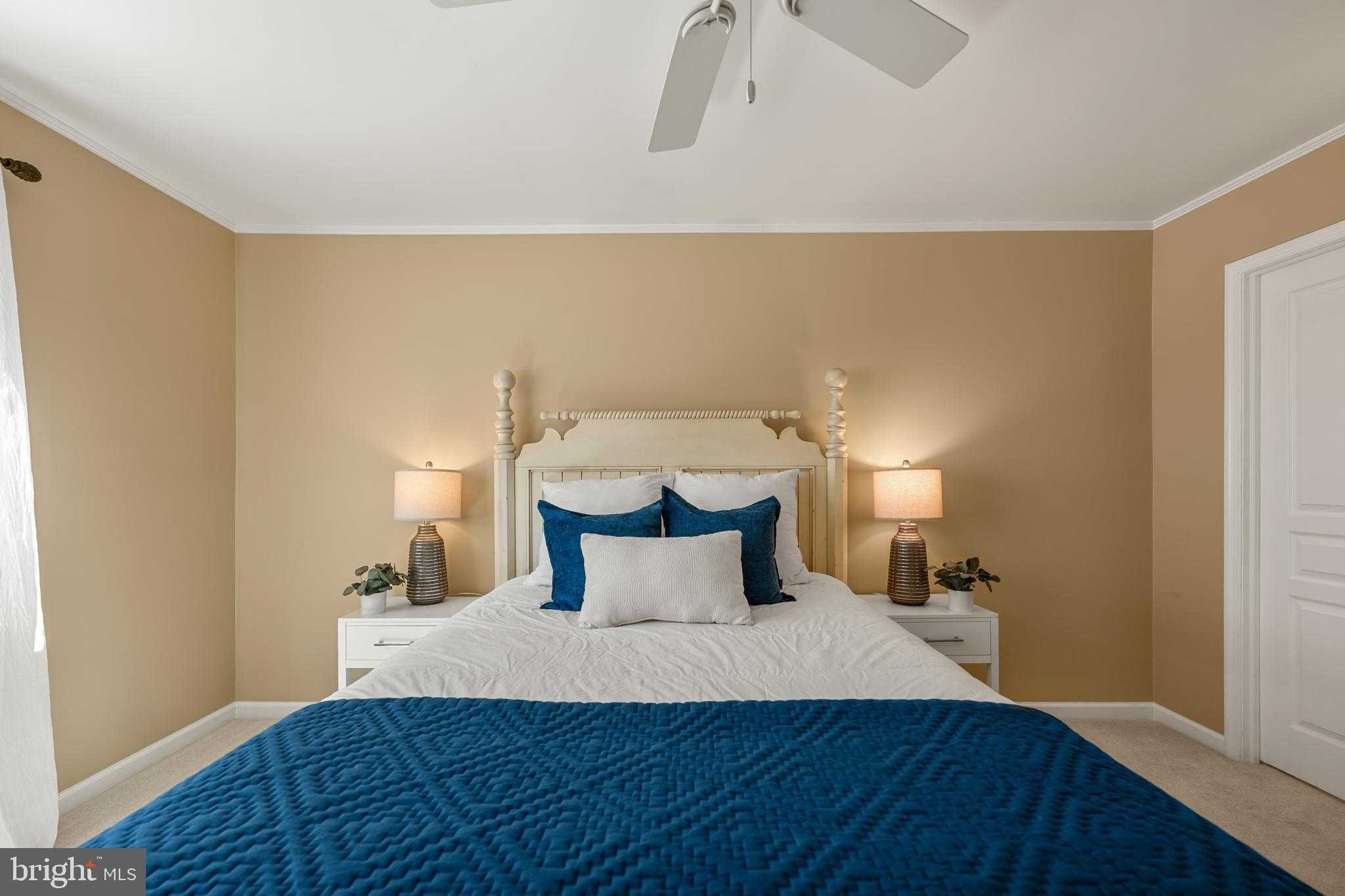 18702 Ginger CT photo 16