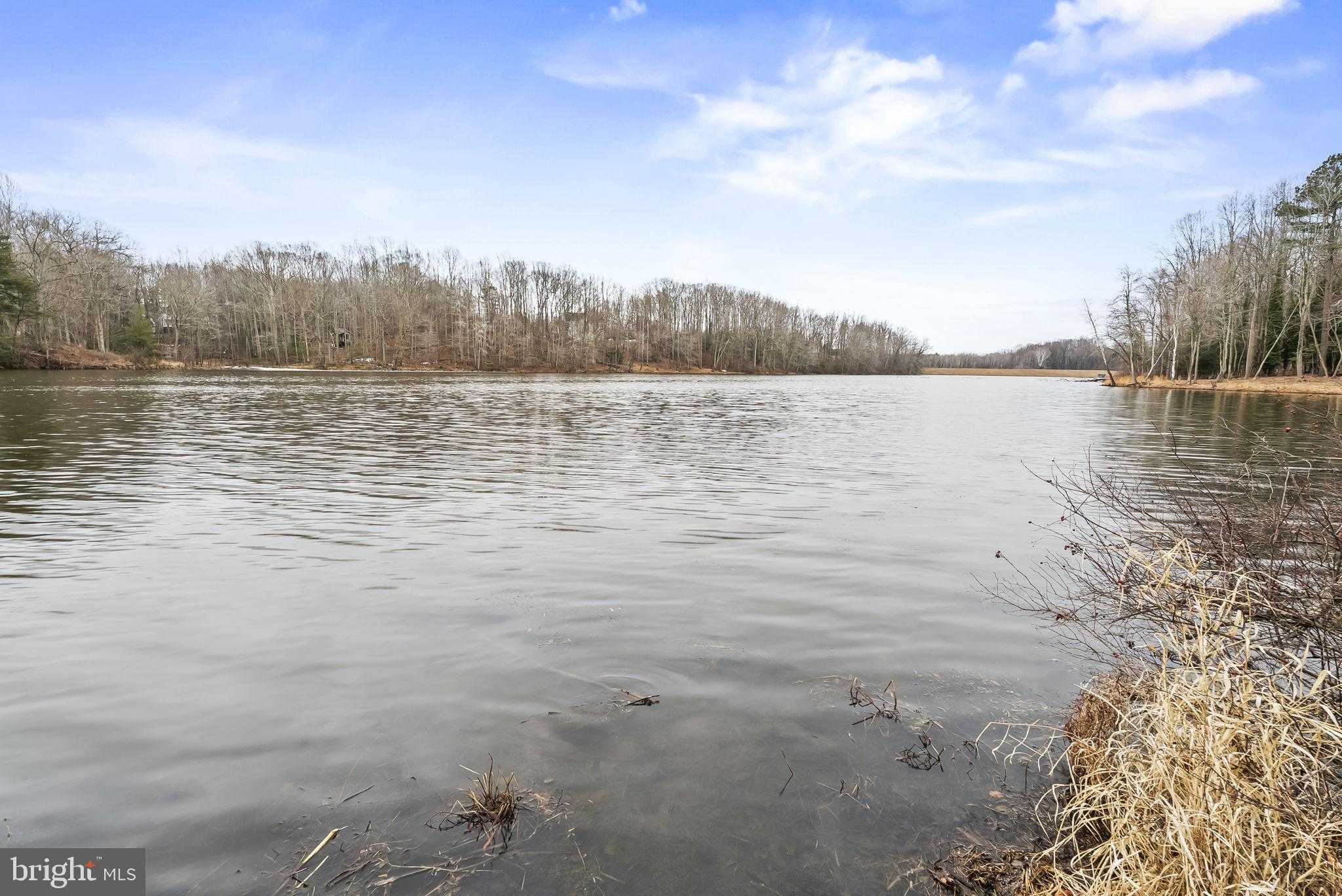 14800 Pale Morning Pl photo 2