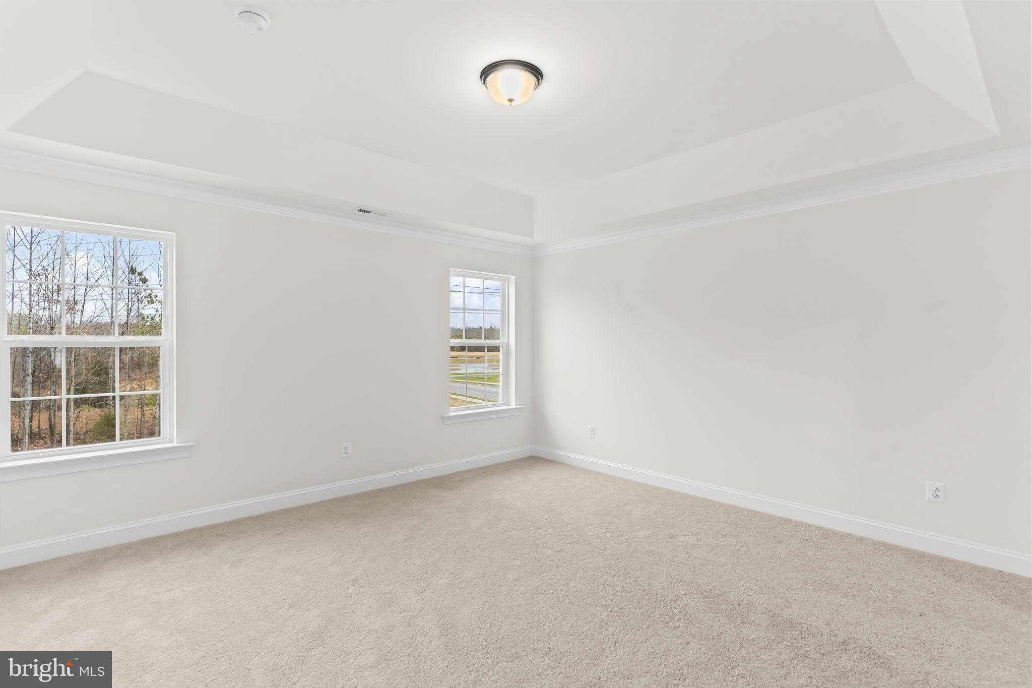 23672 Weeping Willow Way photo 22