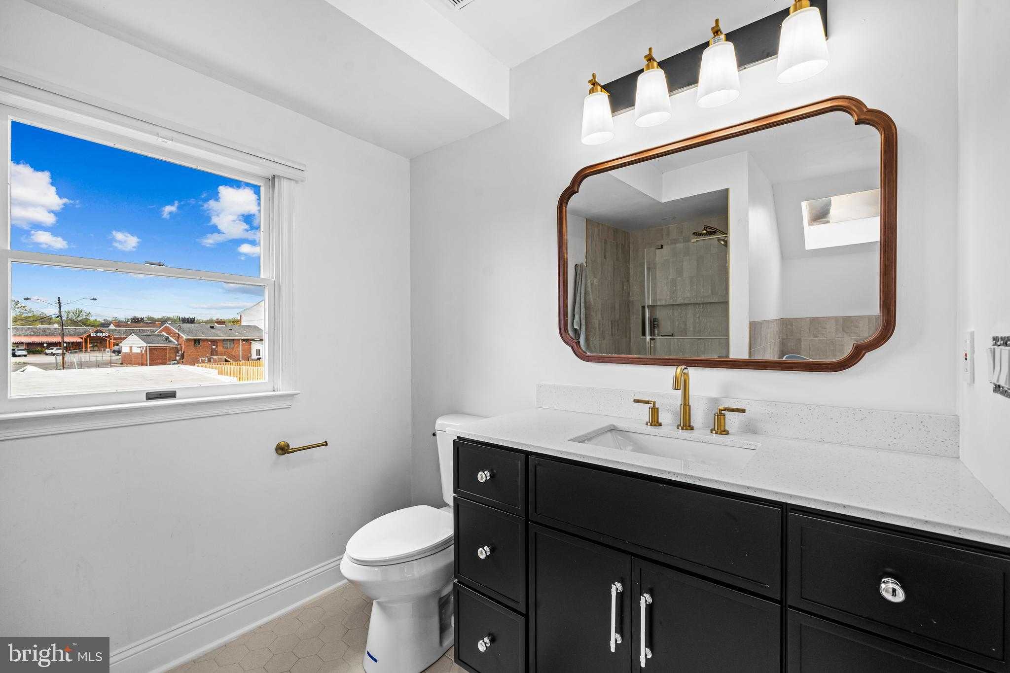 8806 BLACK ALDER DRIVE photo 29