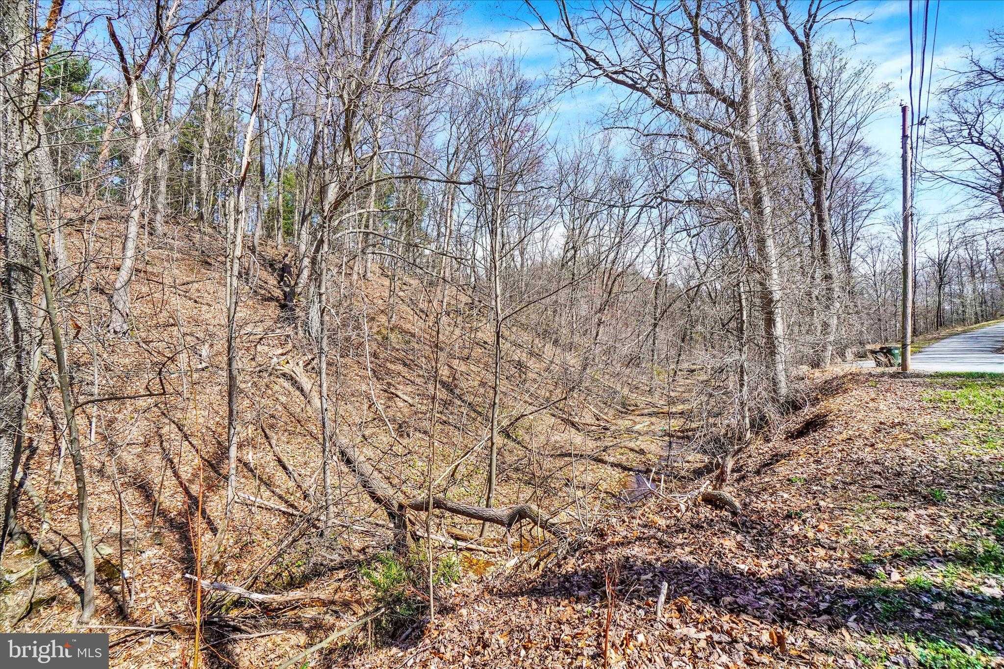 82 Fox Creek Rd photo 29