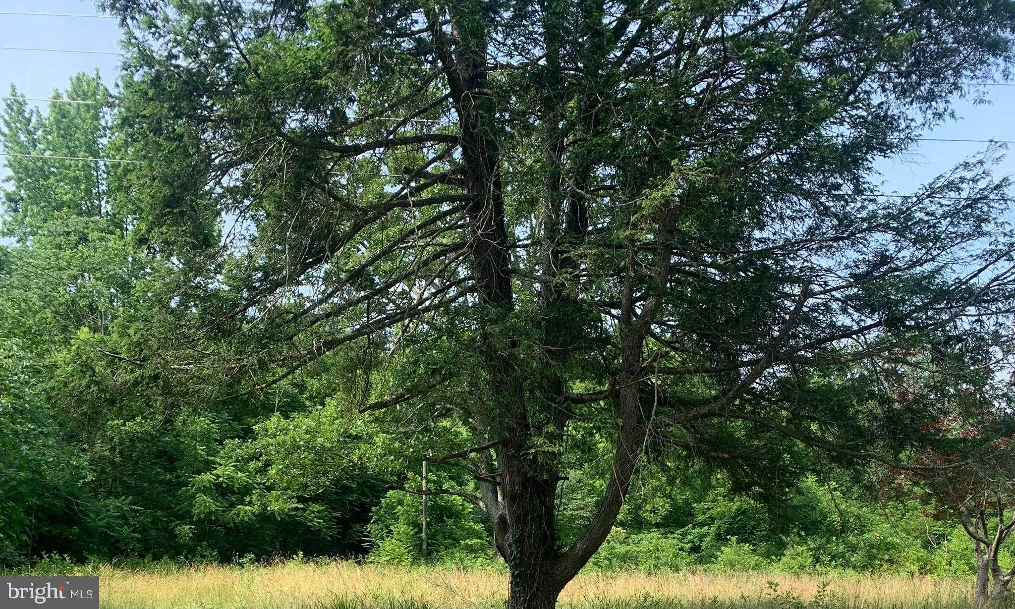 11900 Post Oak Rd, Spotsylvania