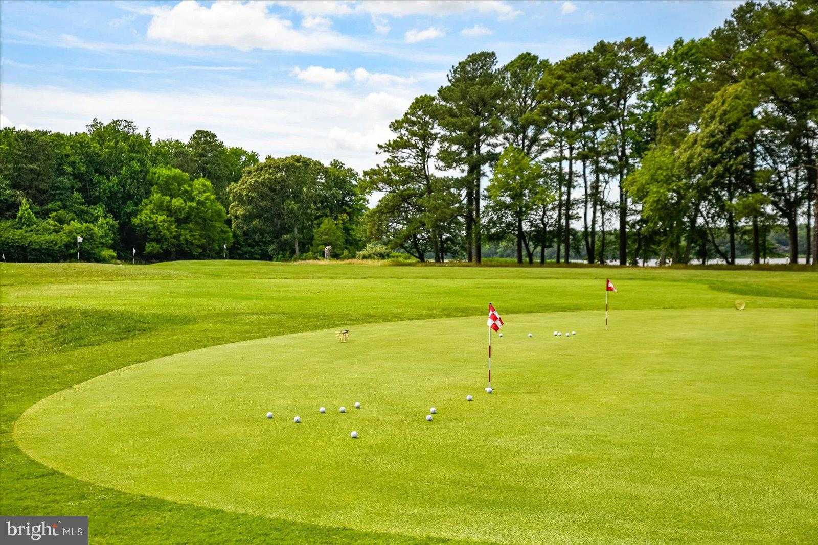 11324 River Run Ln photo 73