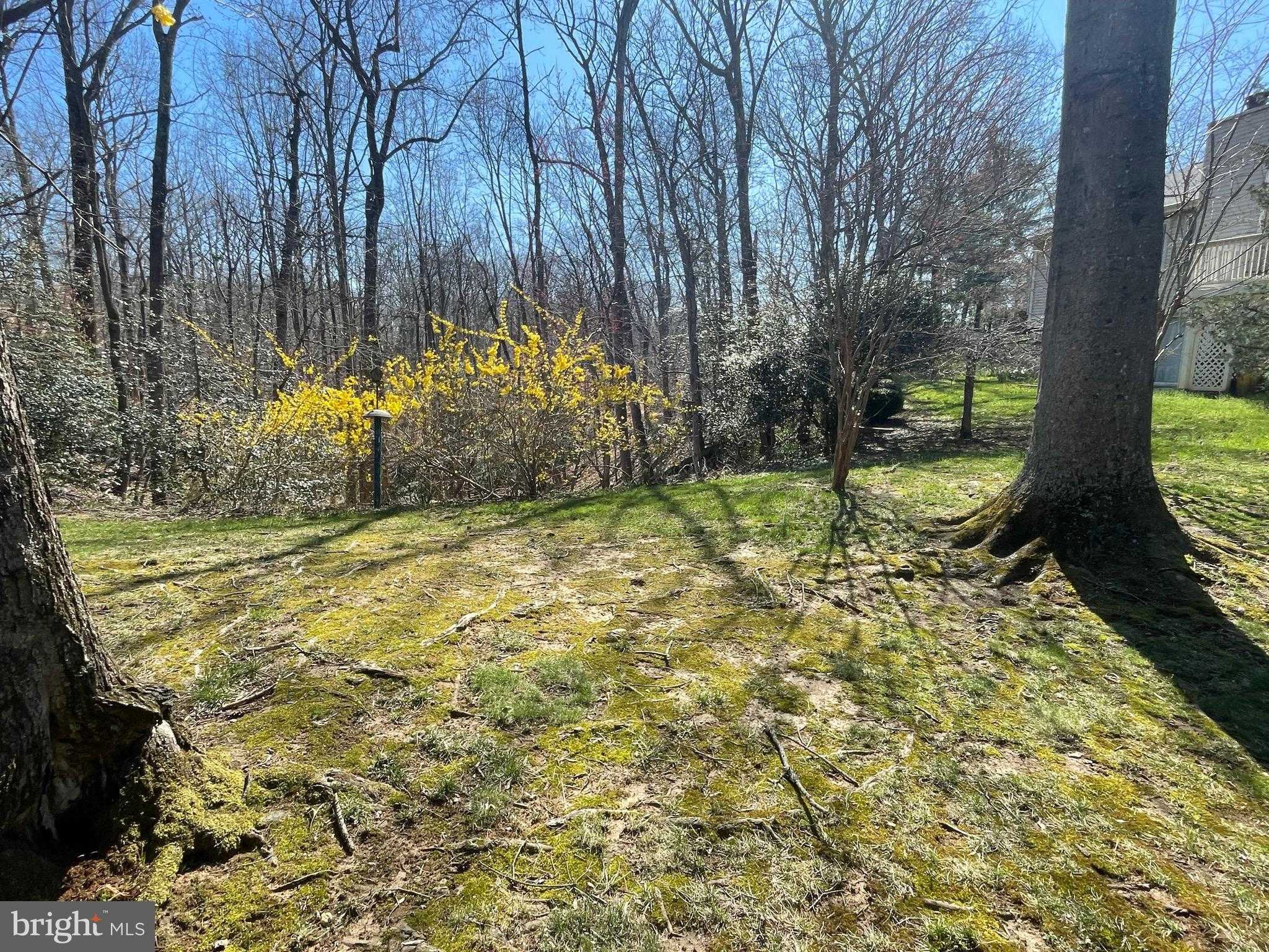 2646 Quiet Water Cv photo 46