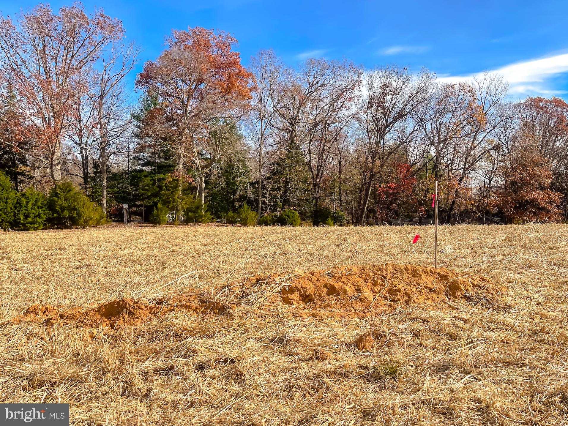 St Marys St photo 25