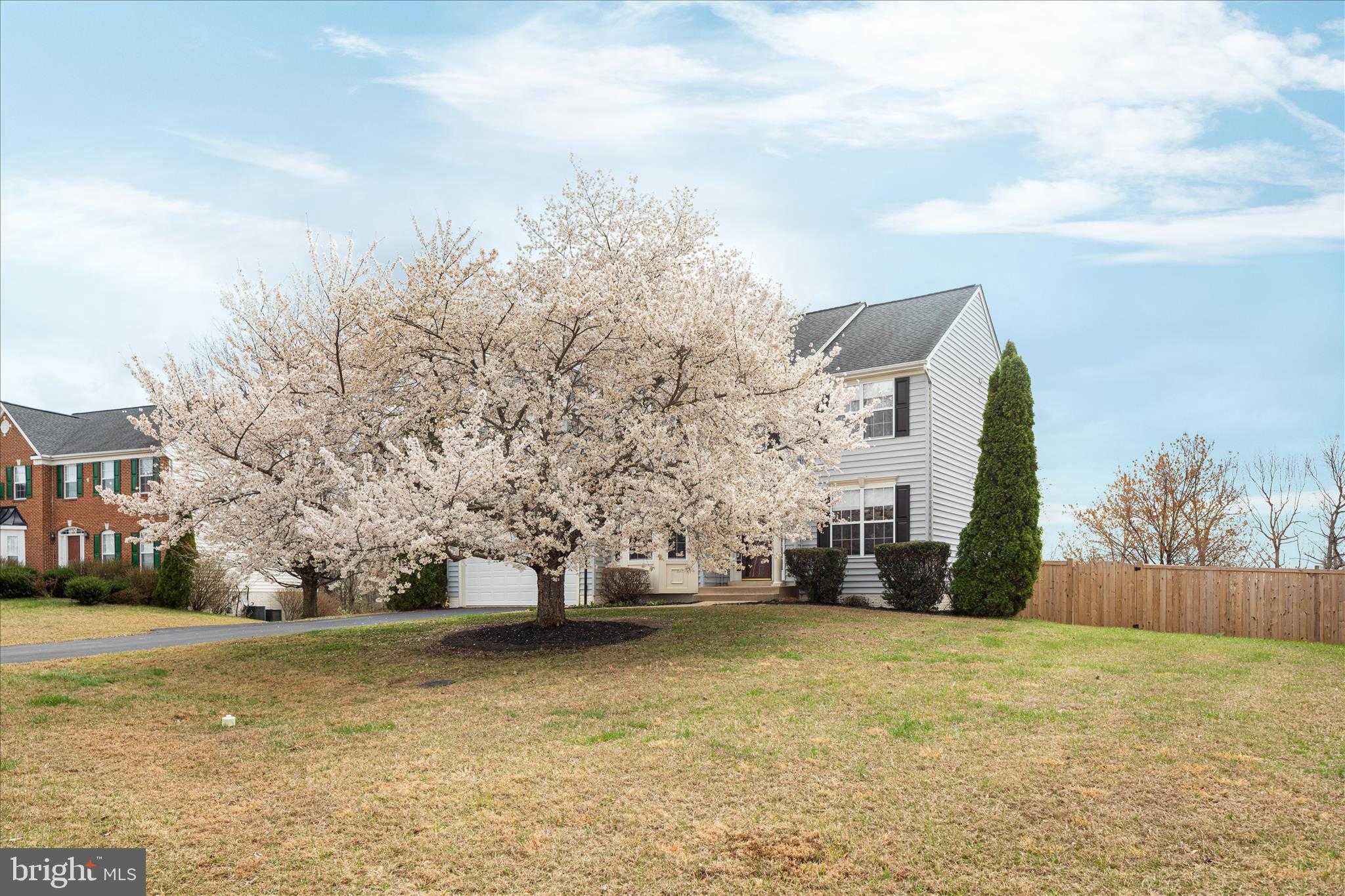 13169 Quade Ln photo 3