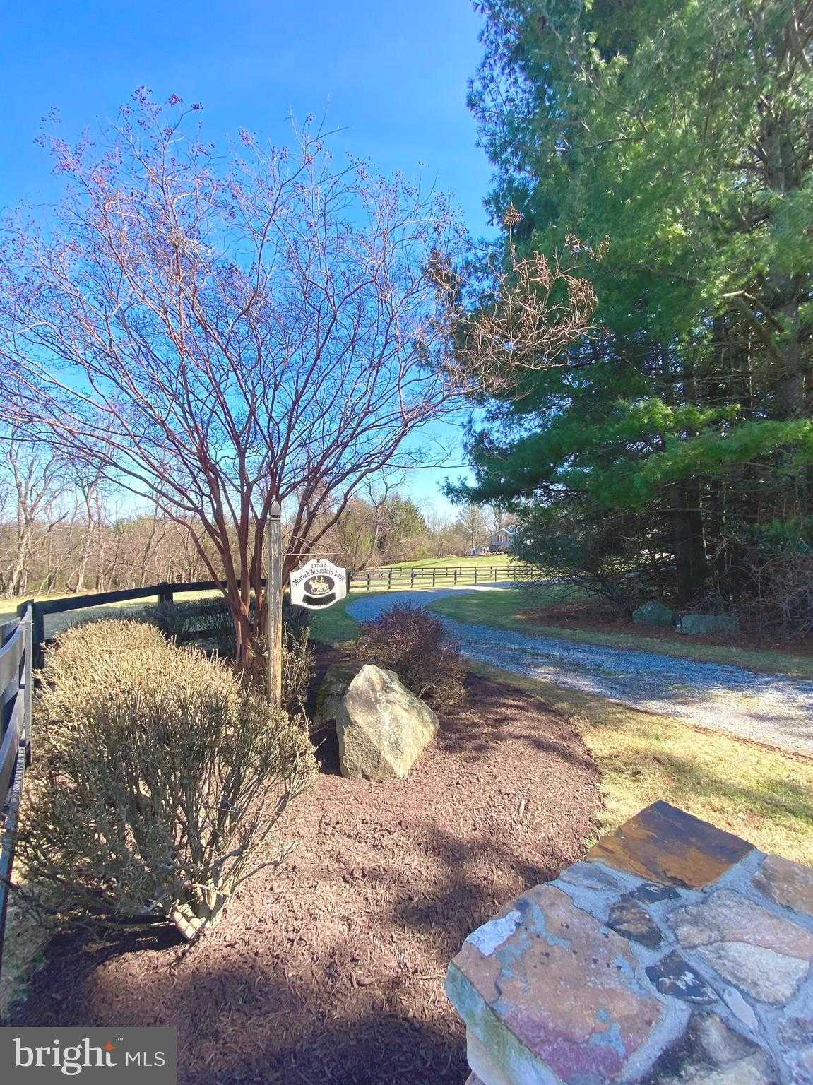 17536 Mariah Mountain Ln photo 3