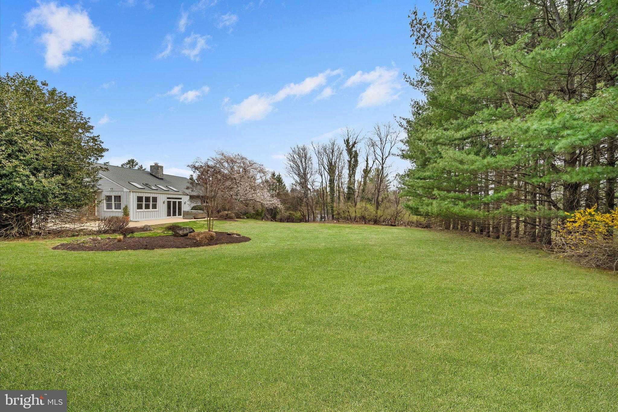 17536 Mariah Mountain Ln photo 48