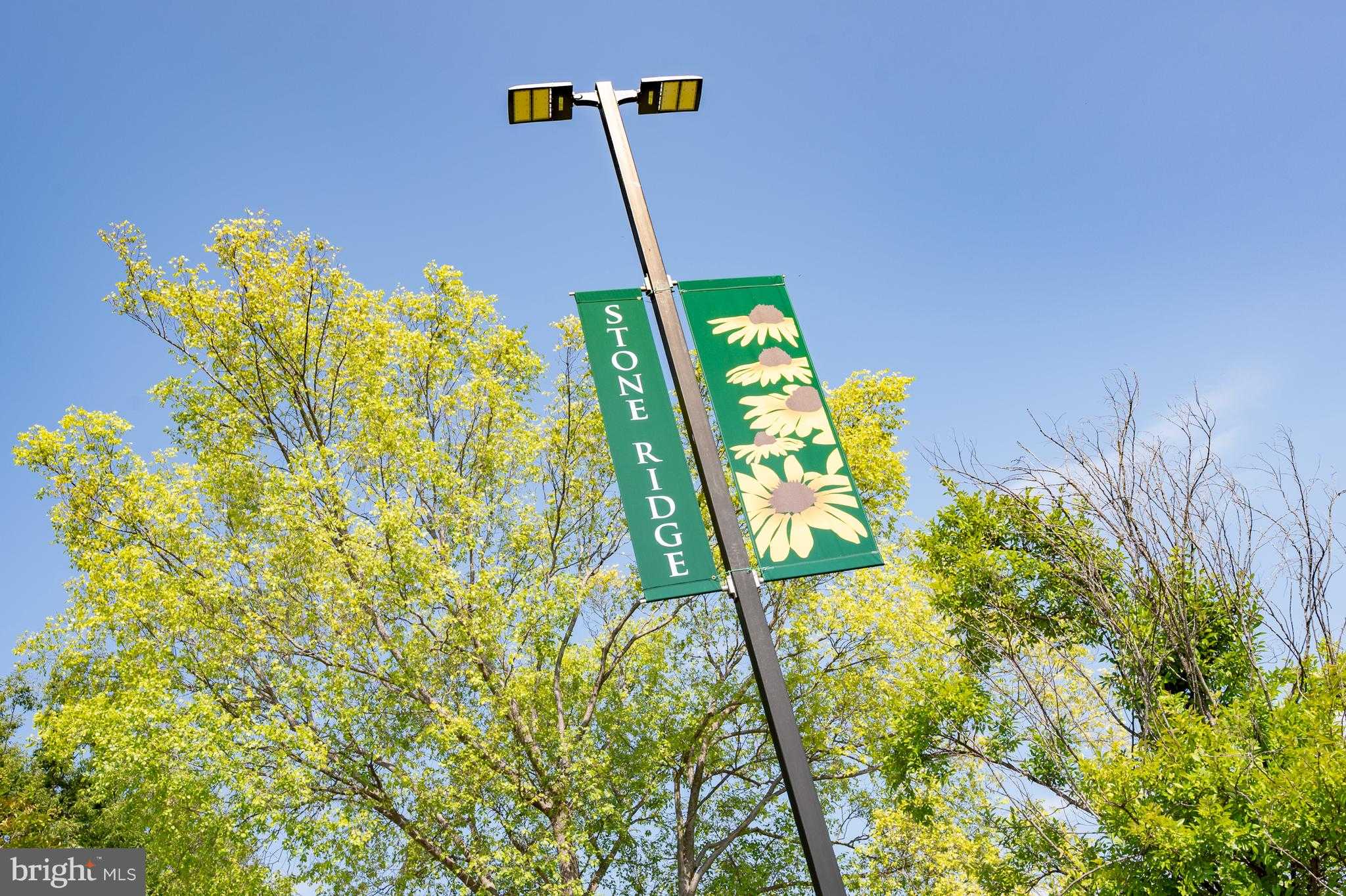 24672 Byrne Meadow Sq photo 42