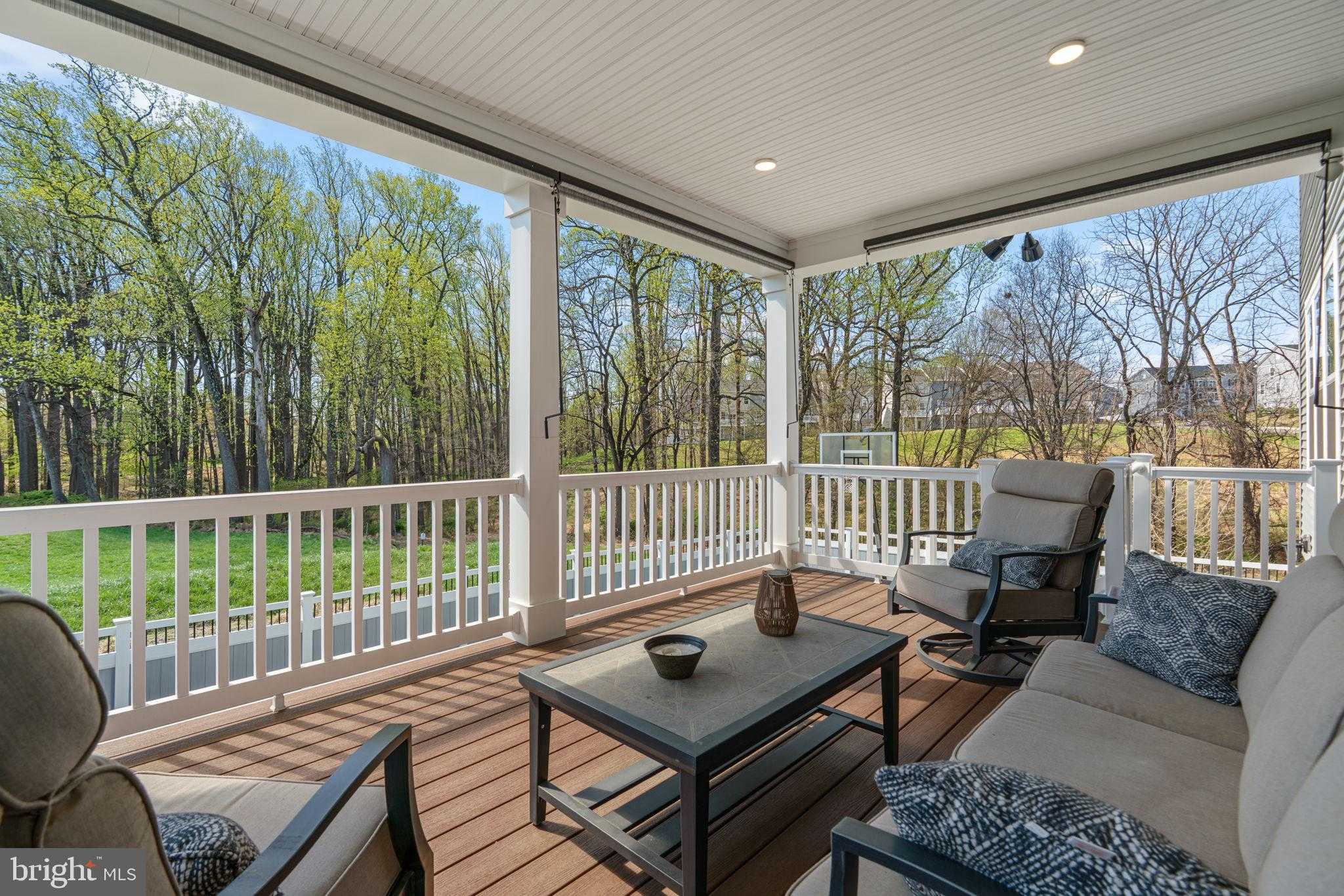 8417 Bald Eagle CT photo 2