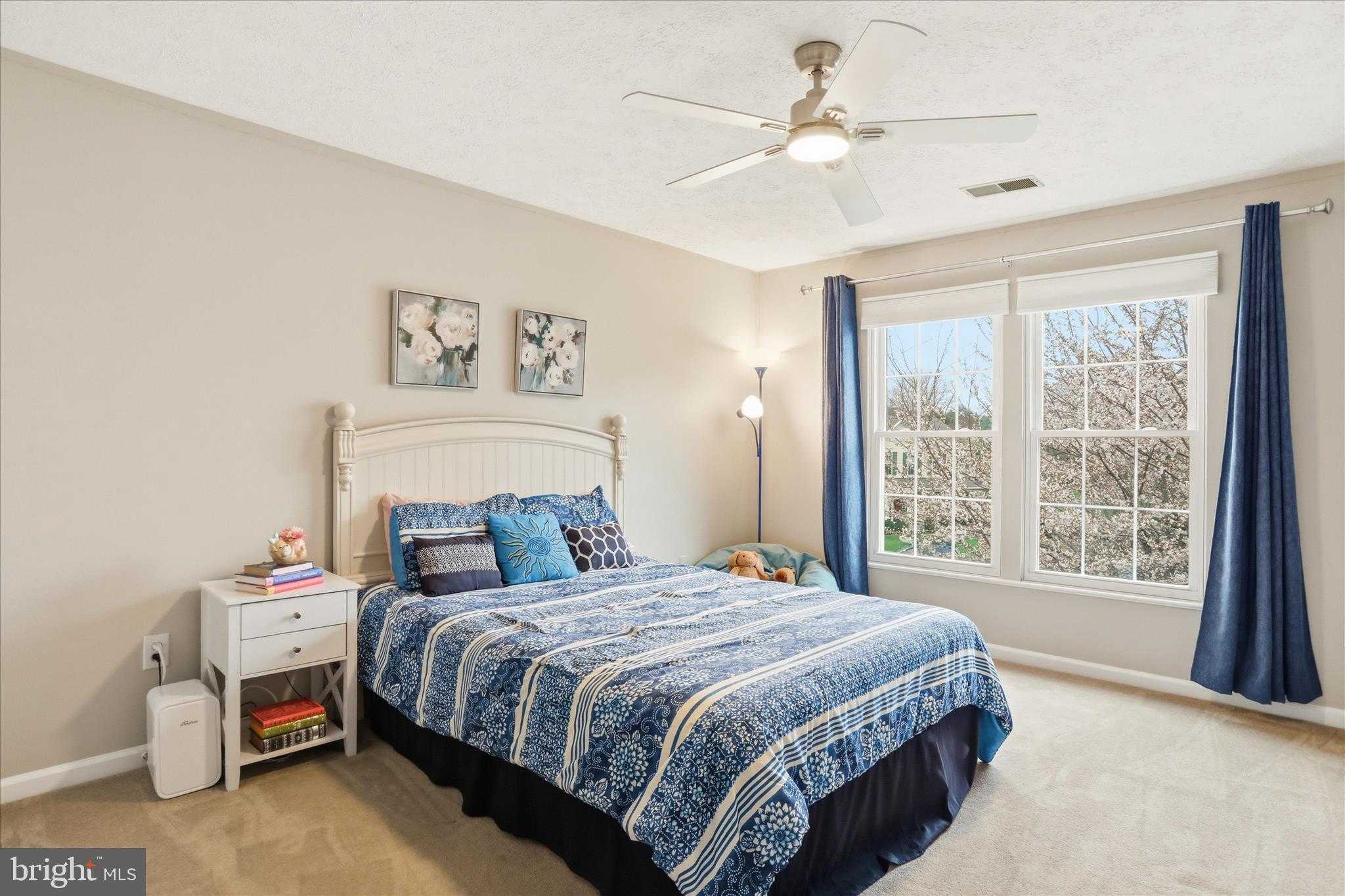 4908 Shelburne CT photo 31