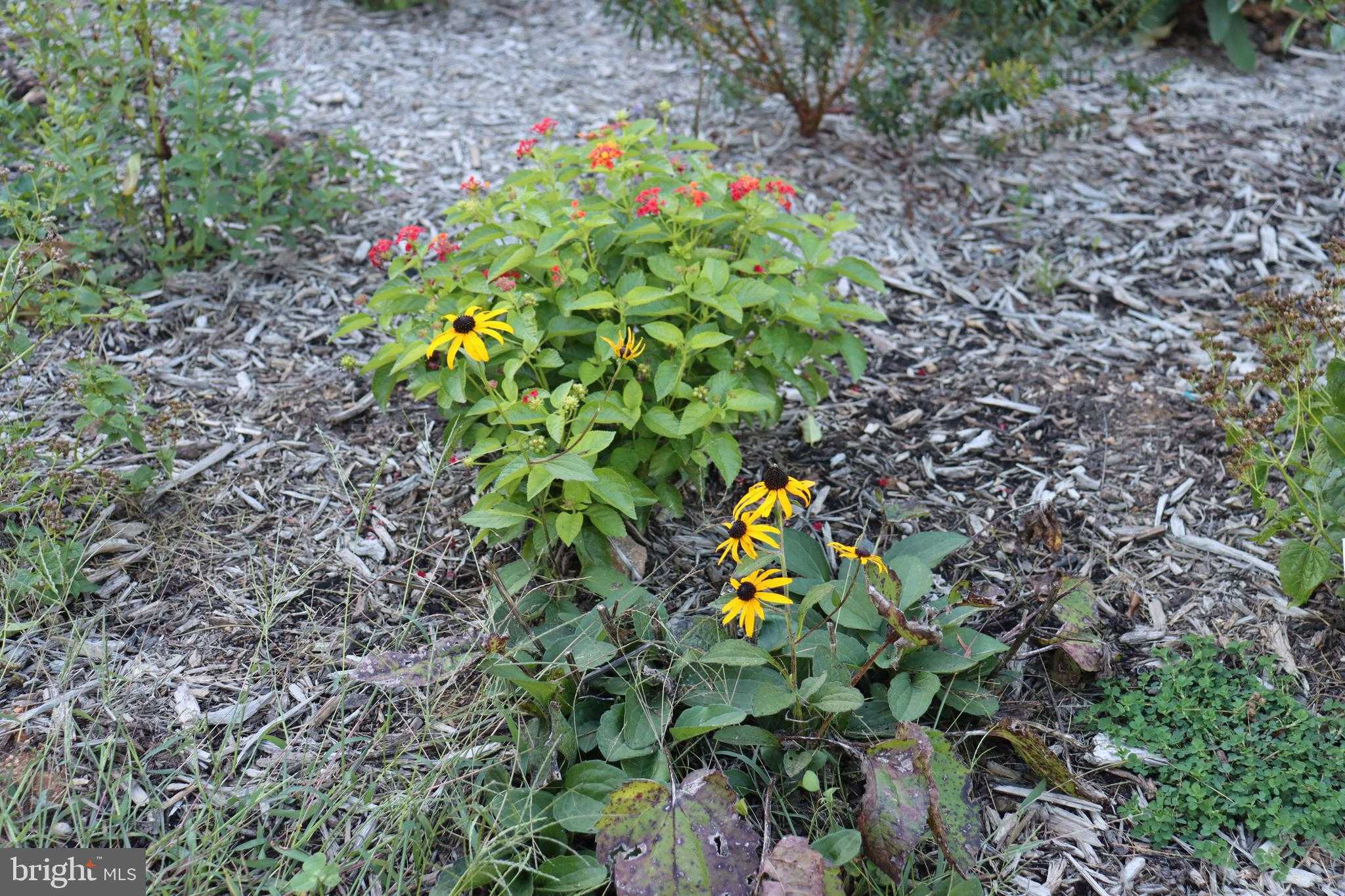 1185 Belle Meade Rd photo 83