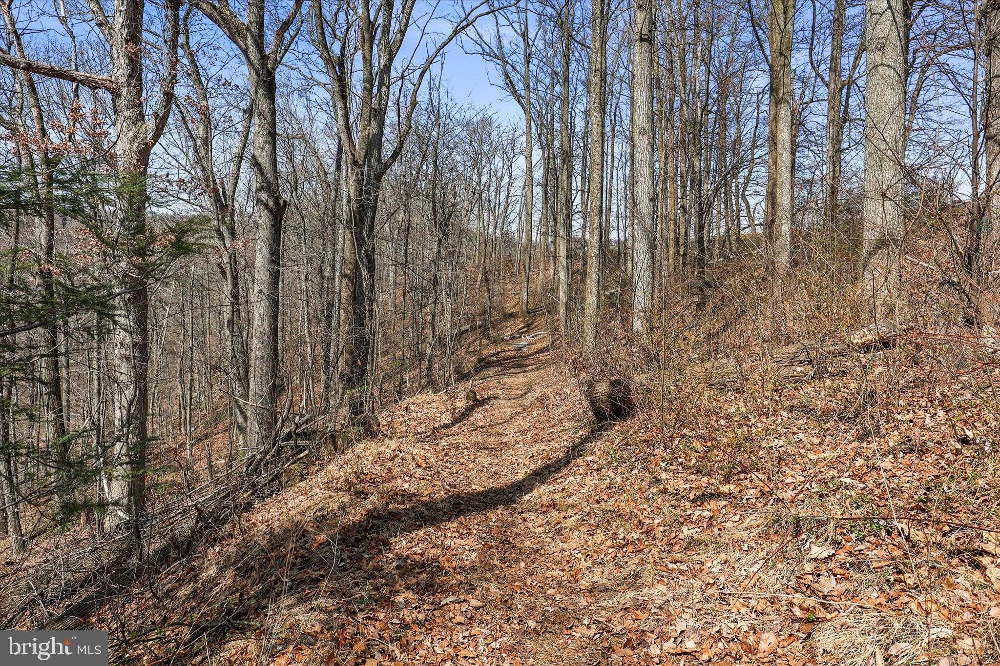 834 Richmond Rd photo 43