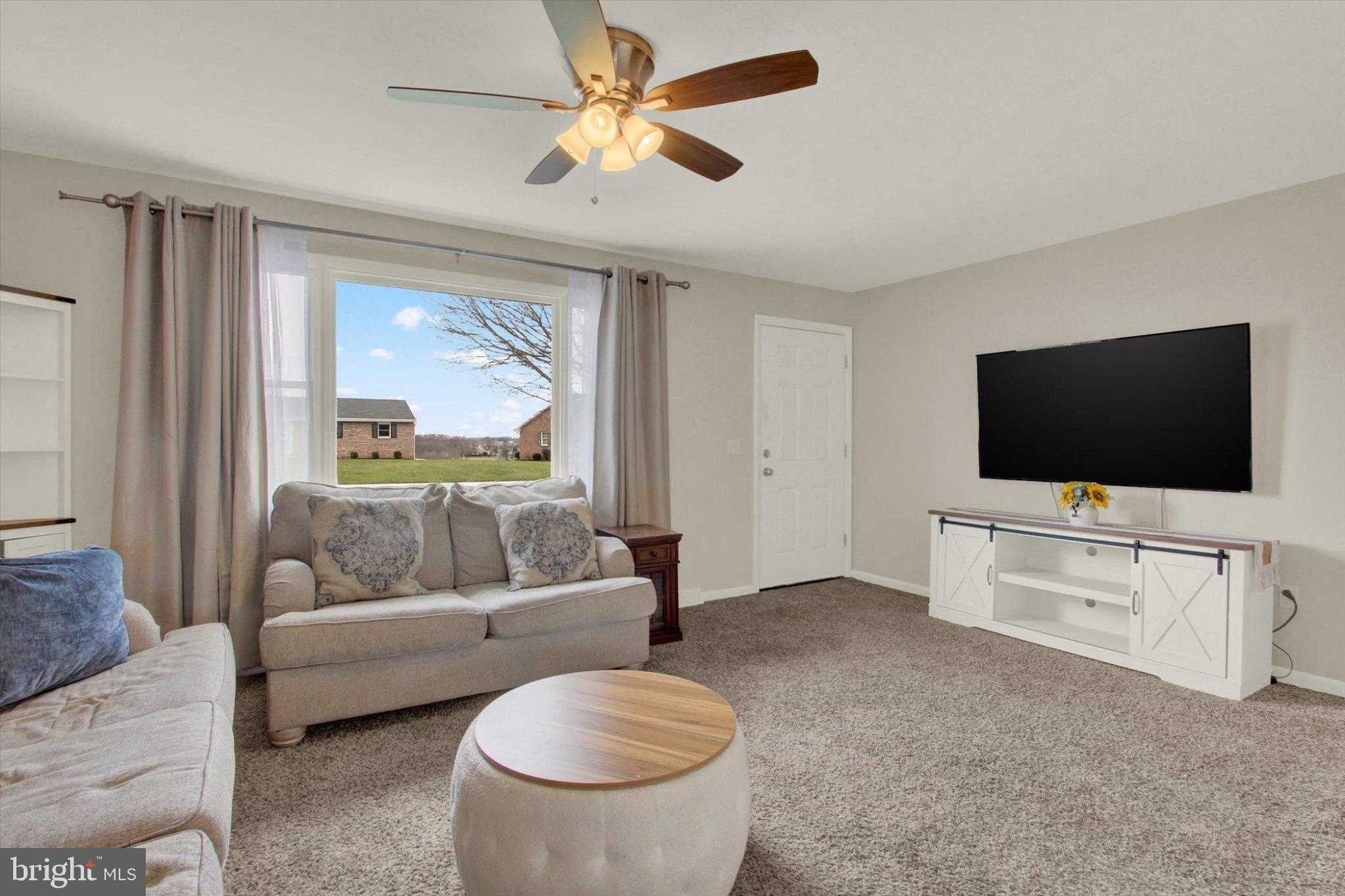 45 Lee Ann CT photo 4