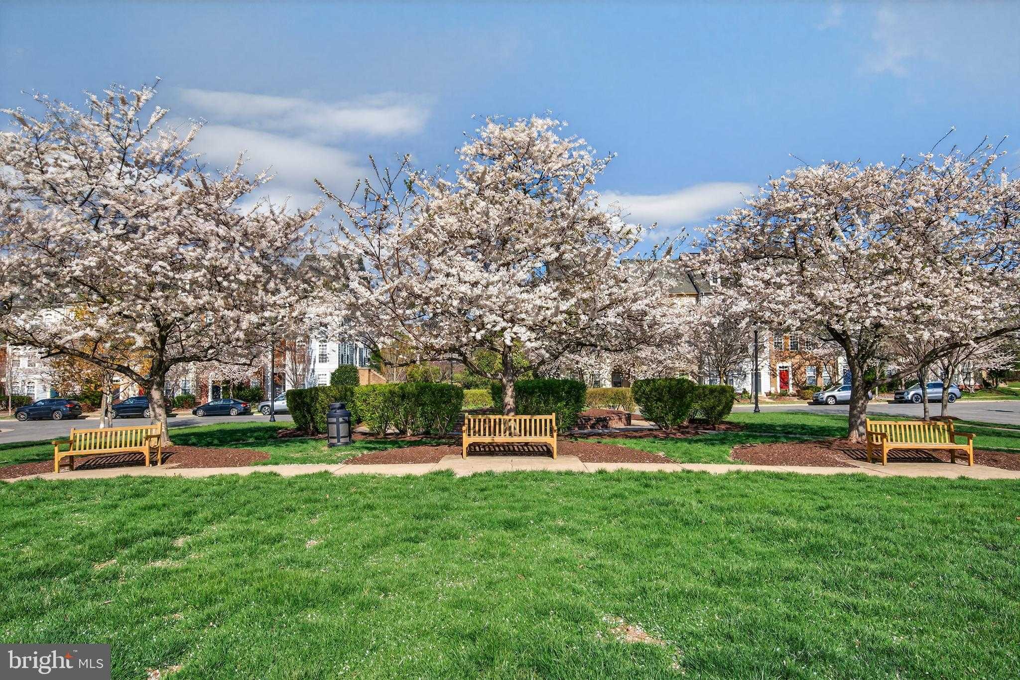 11995 General Cooke Dr photo 126