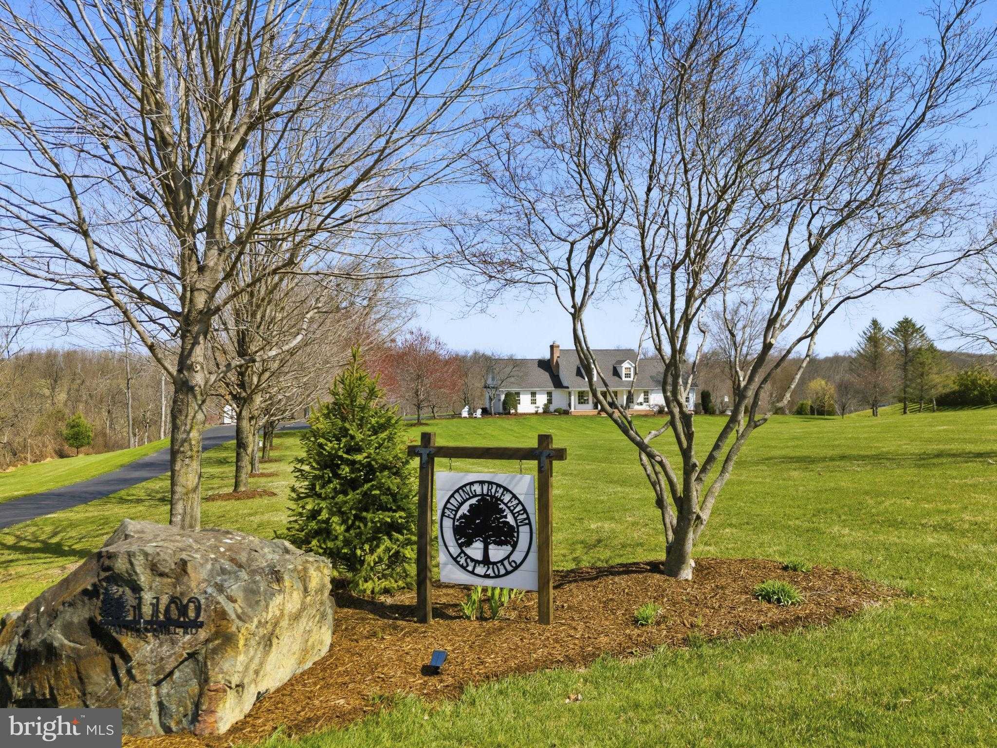 1100 Walters Mill Rd photo 2