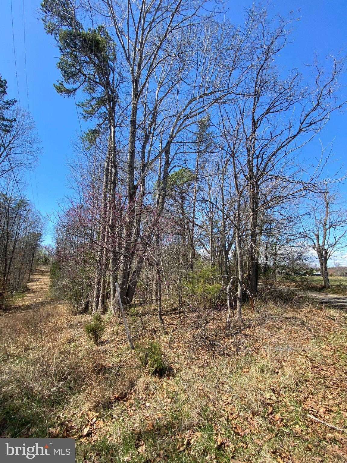 8424 Kilby Rd photo 3