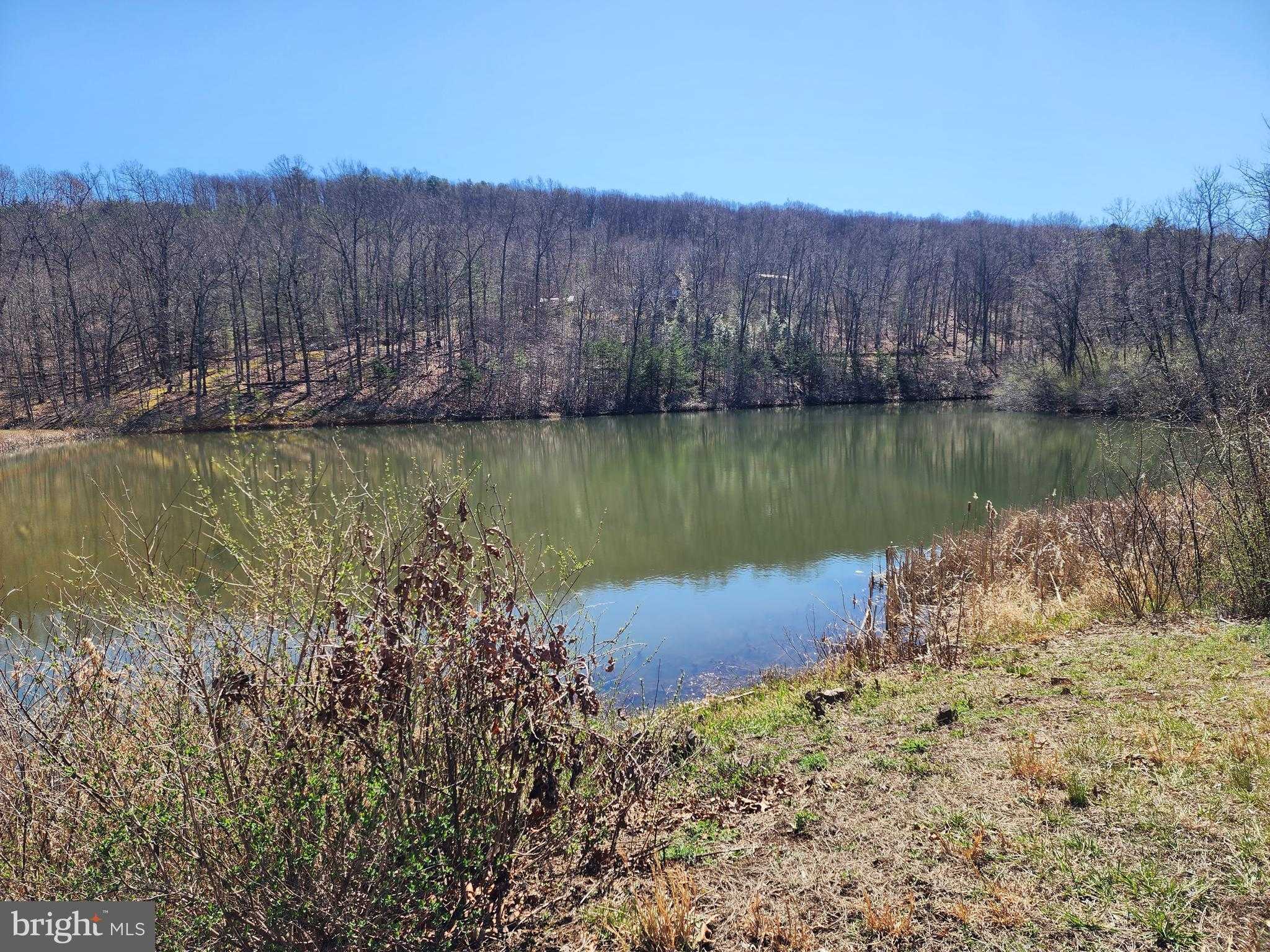 55 Kipps Dr photo 32