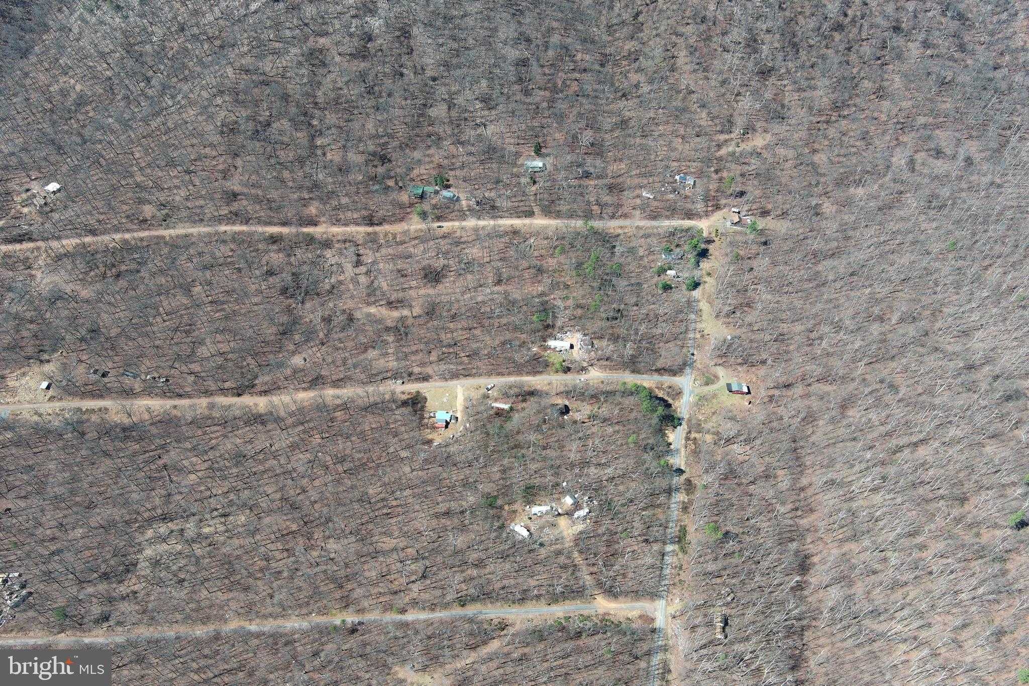 55 Kipps Dr photo 41