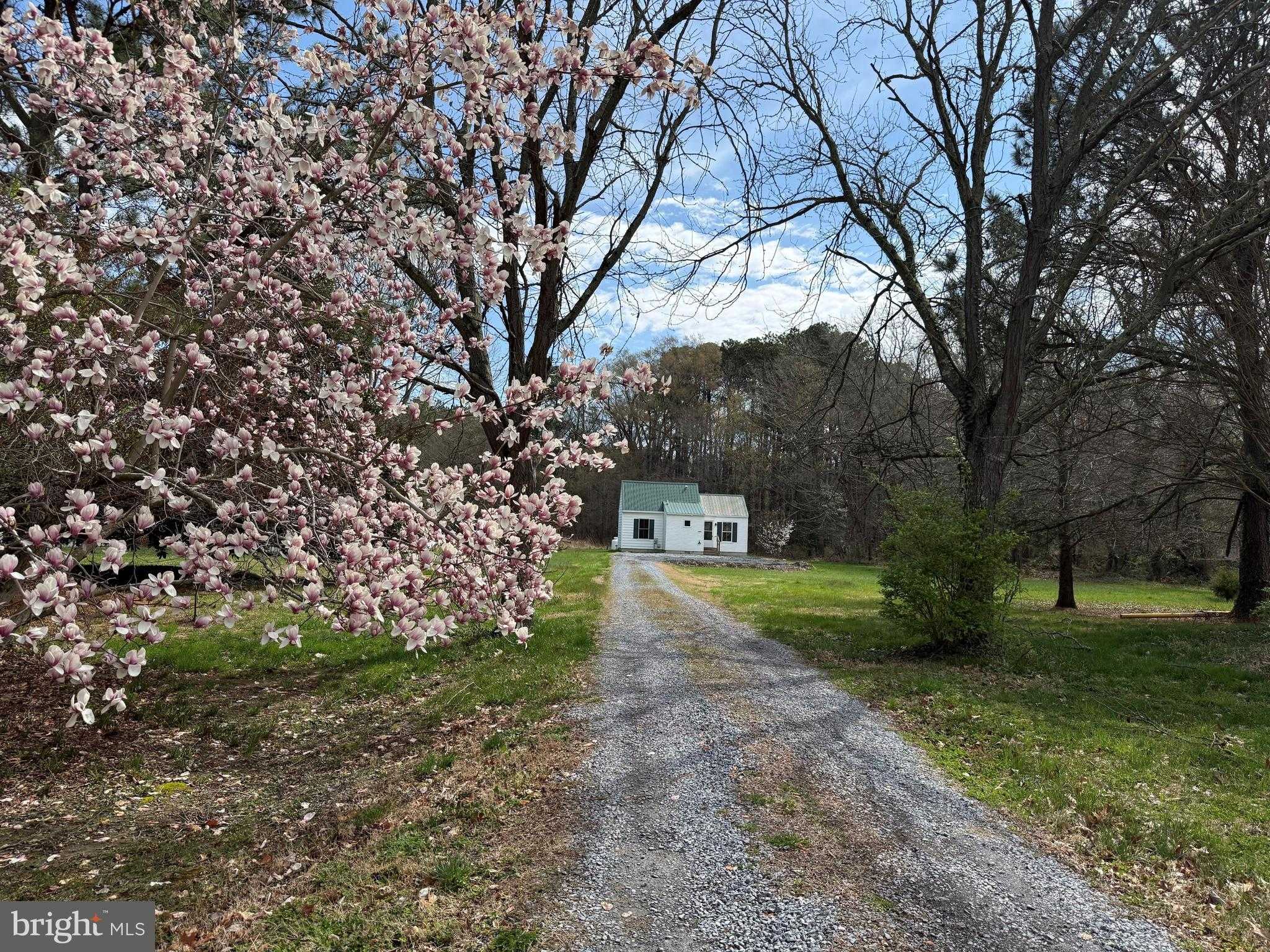 6937 Bellevue Rd, Royal Oak