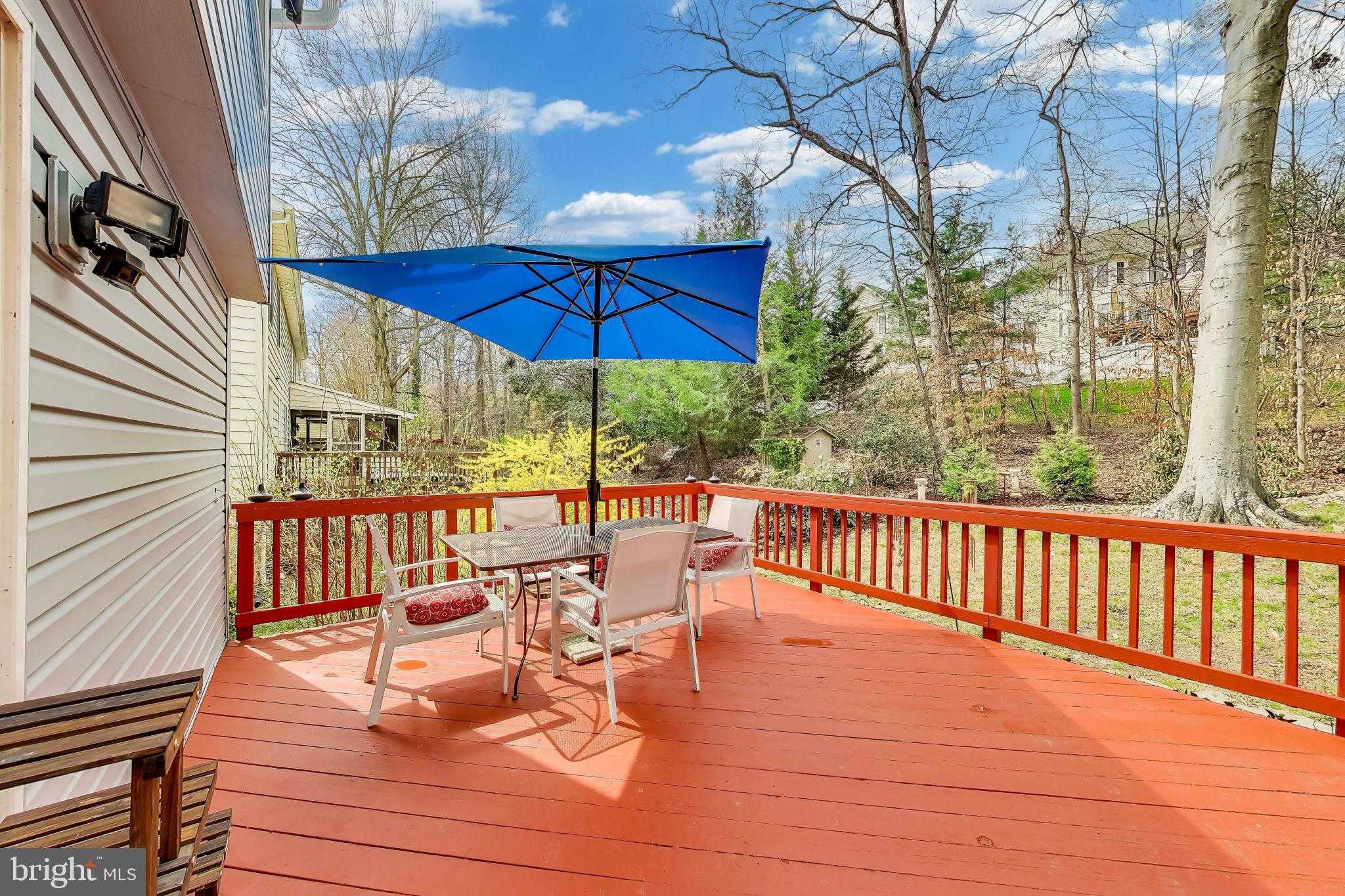 8404 Chillum CT photo 49