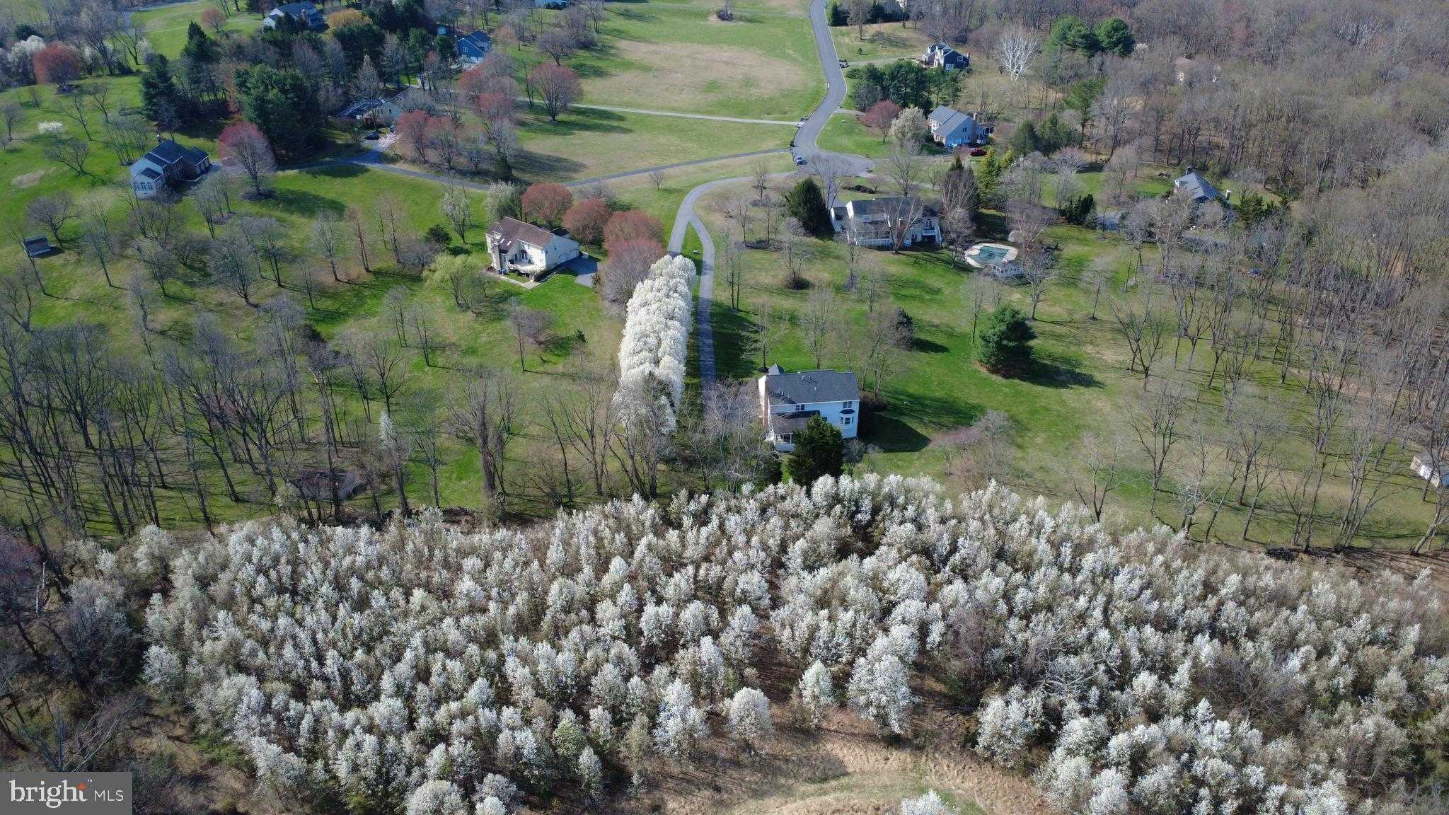 12839 Forest Creek CT photo 110