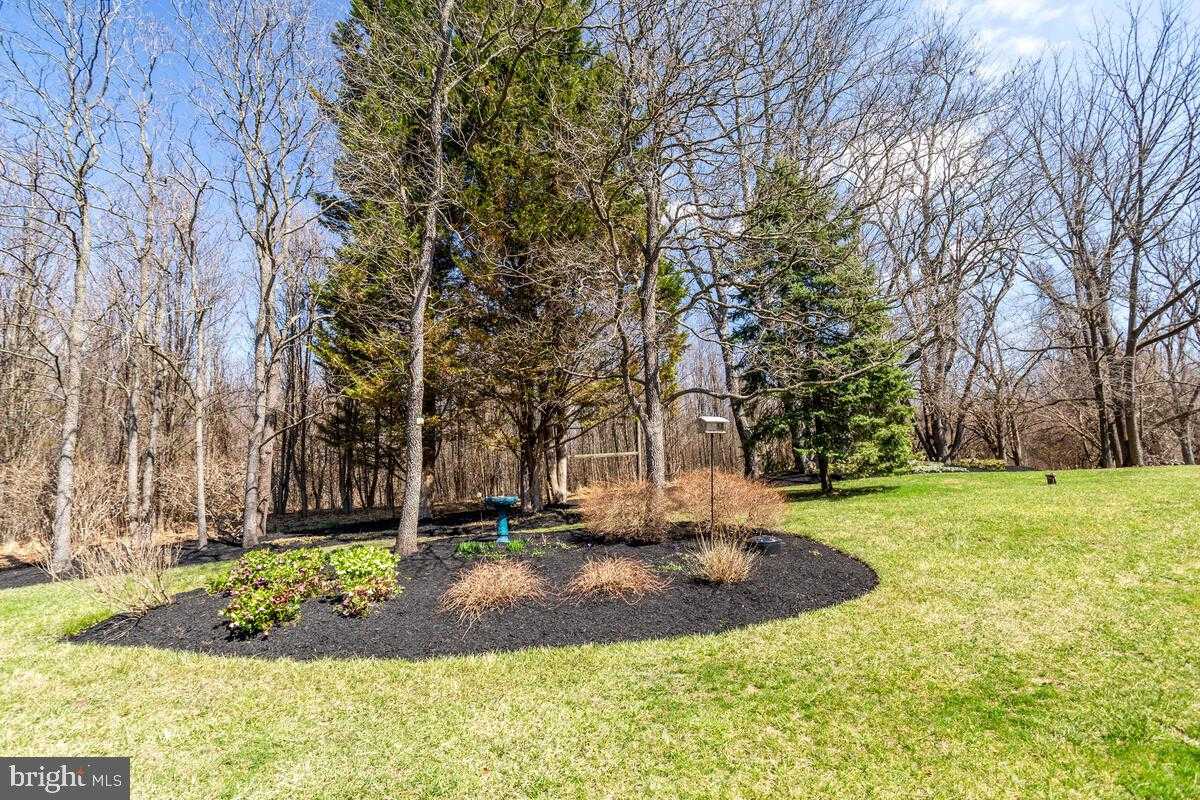 12839 Forest Creek CT photo 88