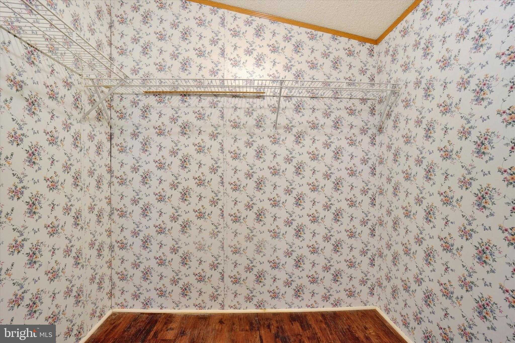 66 Alana Dr photo 16