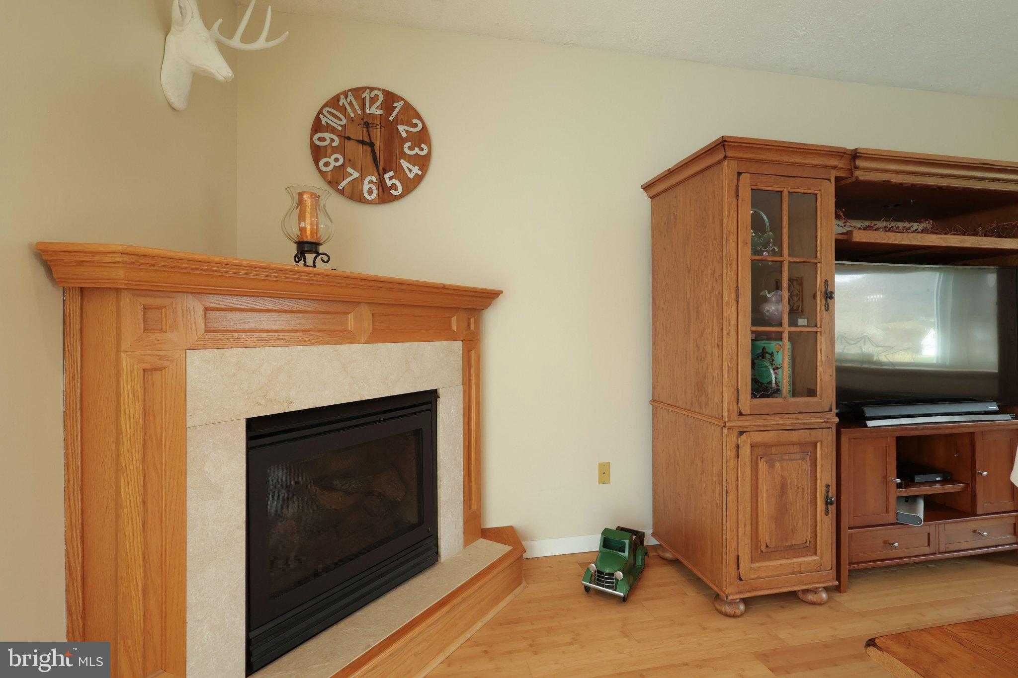 123 WALNUT RIDGE ROAD photo 30