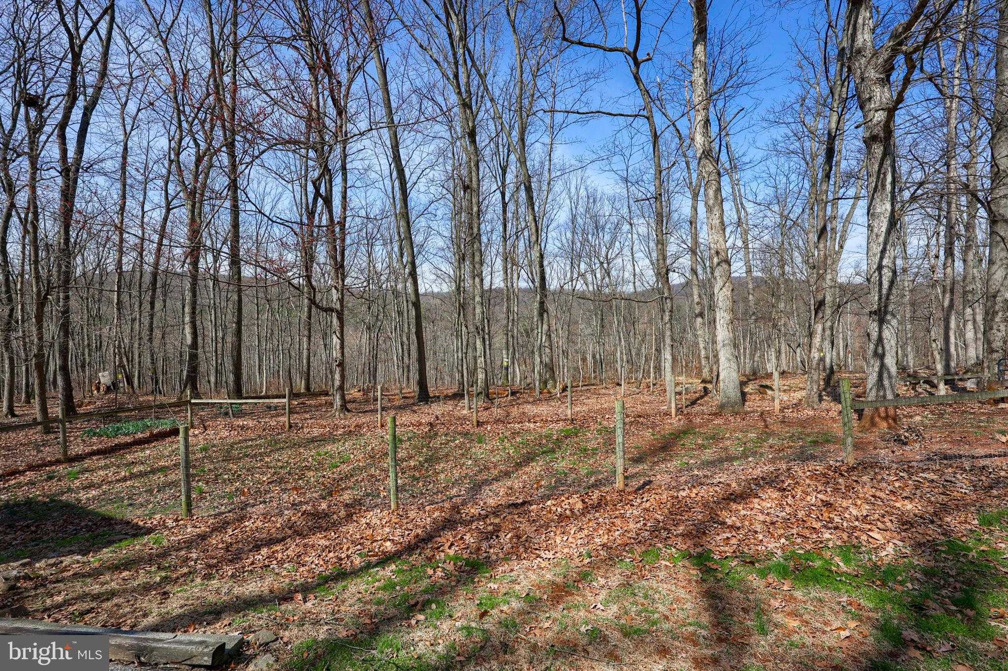 4790 Charolis CT photo 30