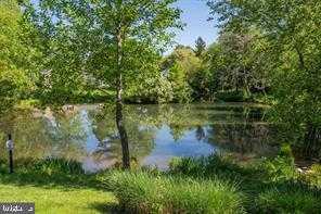 374 Old Forge Xing photo 21