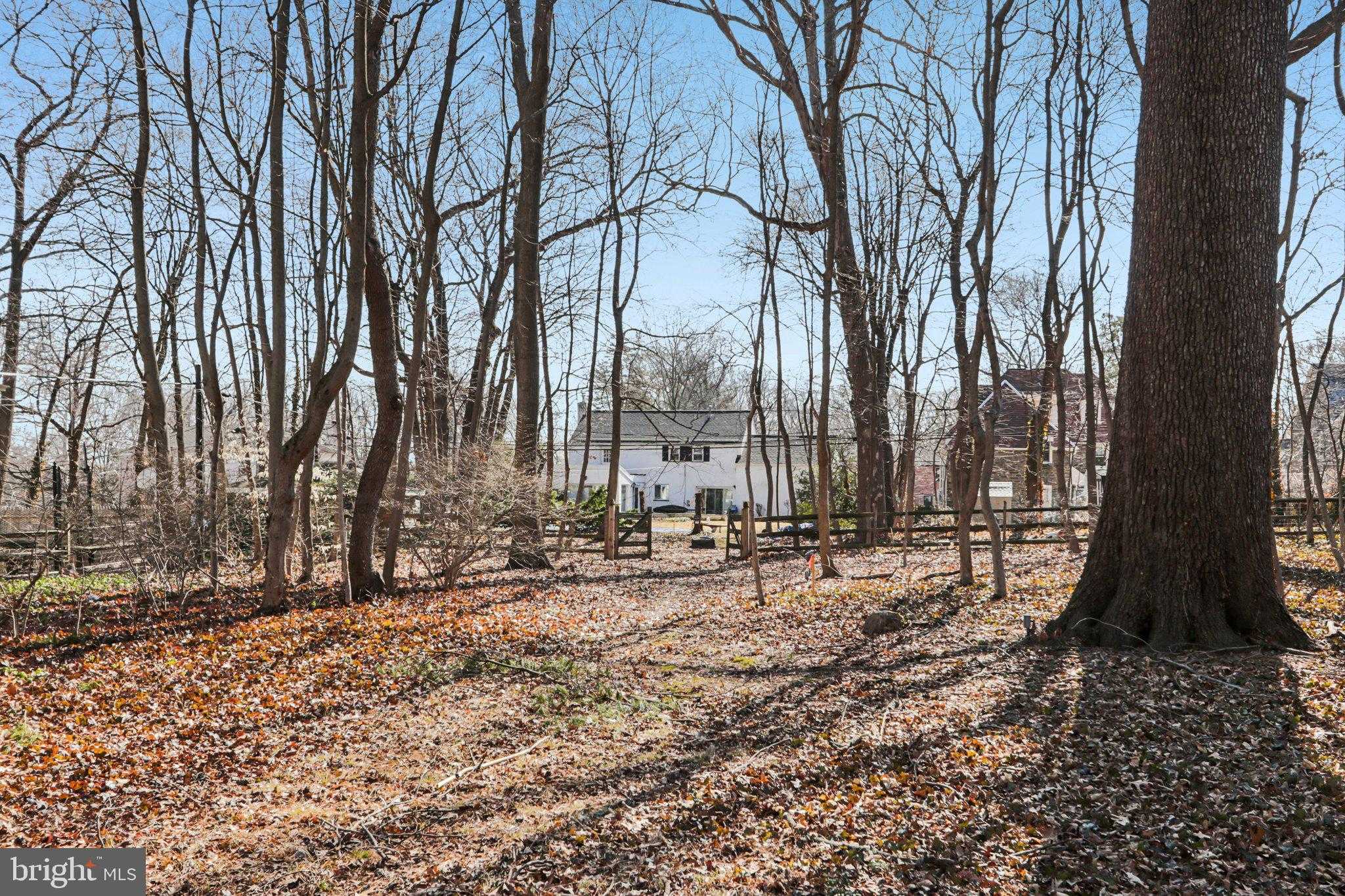 802 Westview St photo 10