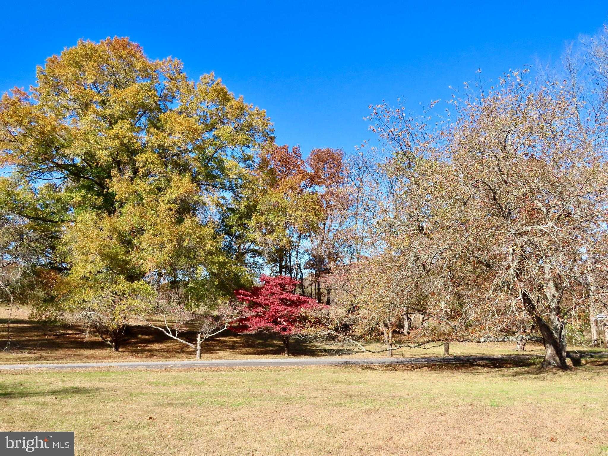 419 Rudasill Mill Rd photo 59