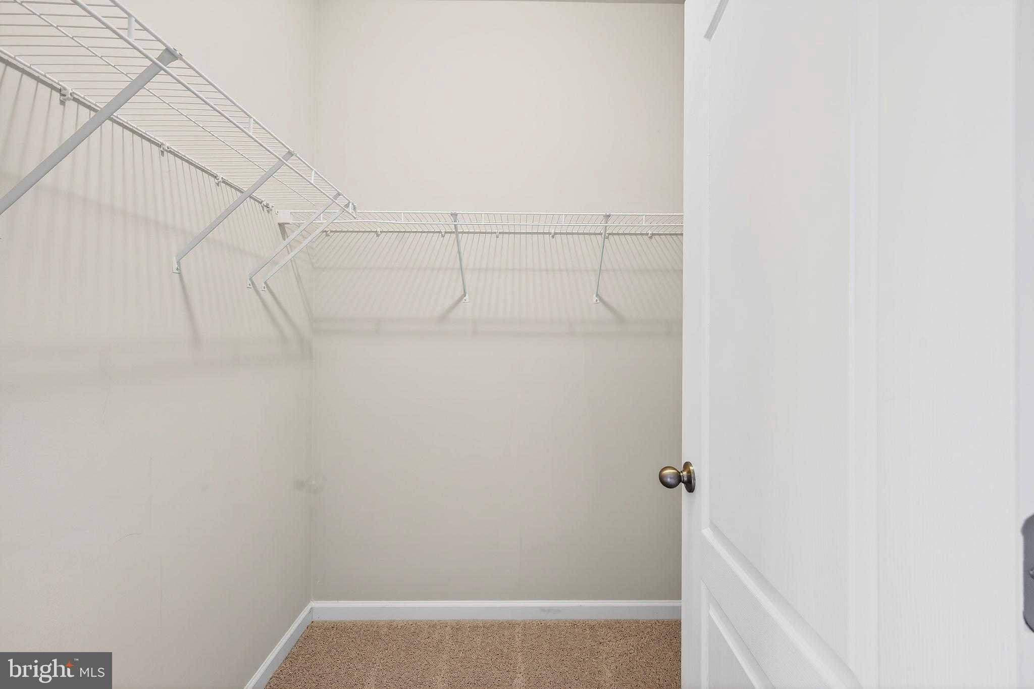 1017 Flester Ln photo 23