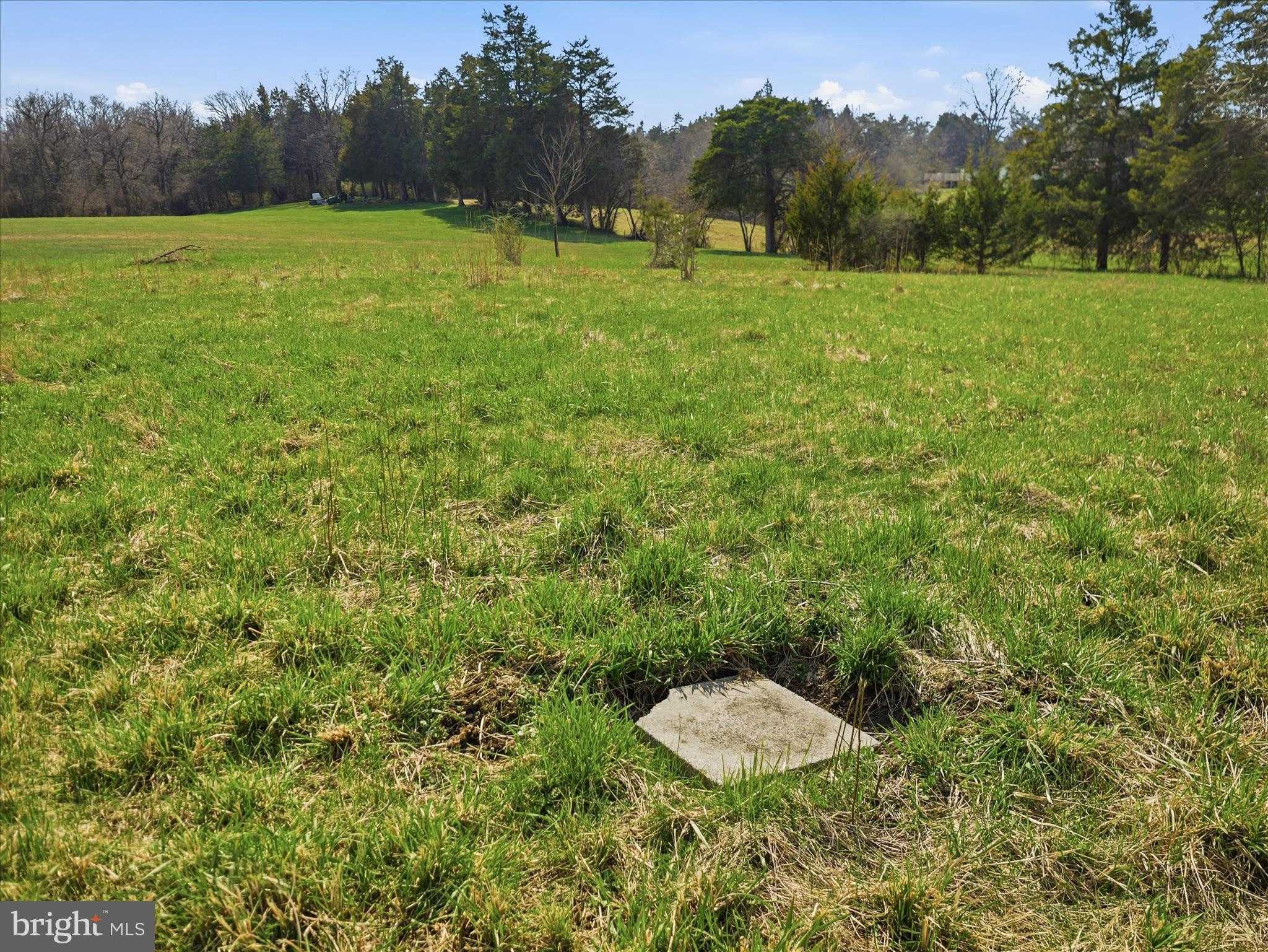 10593 Letzburg Rd photo 20