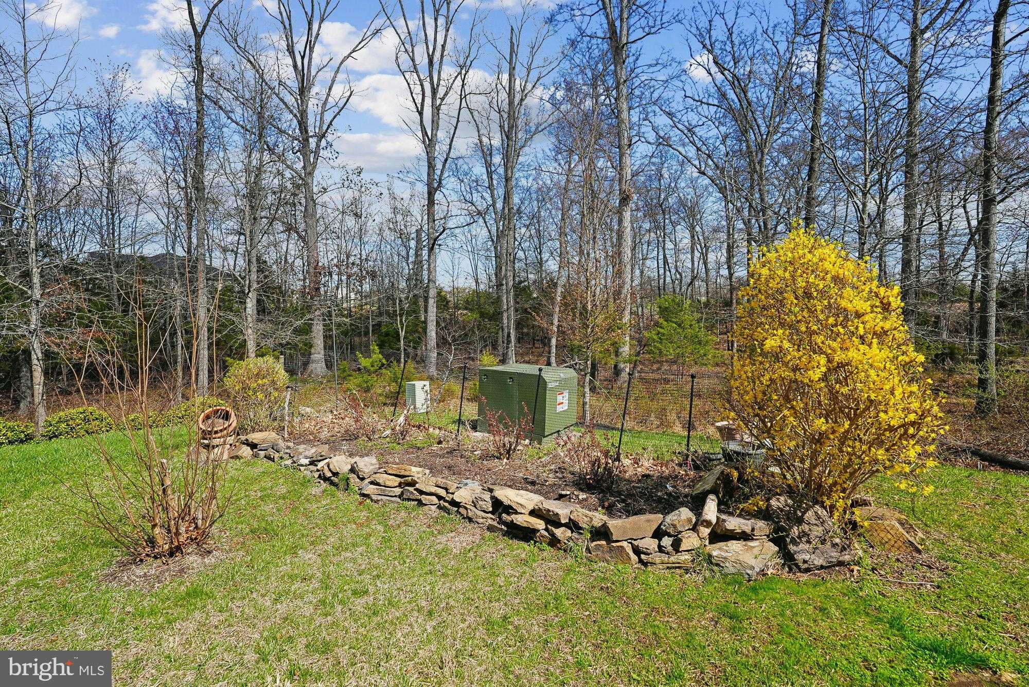 24878 Helms Ter photo 12