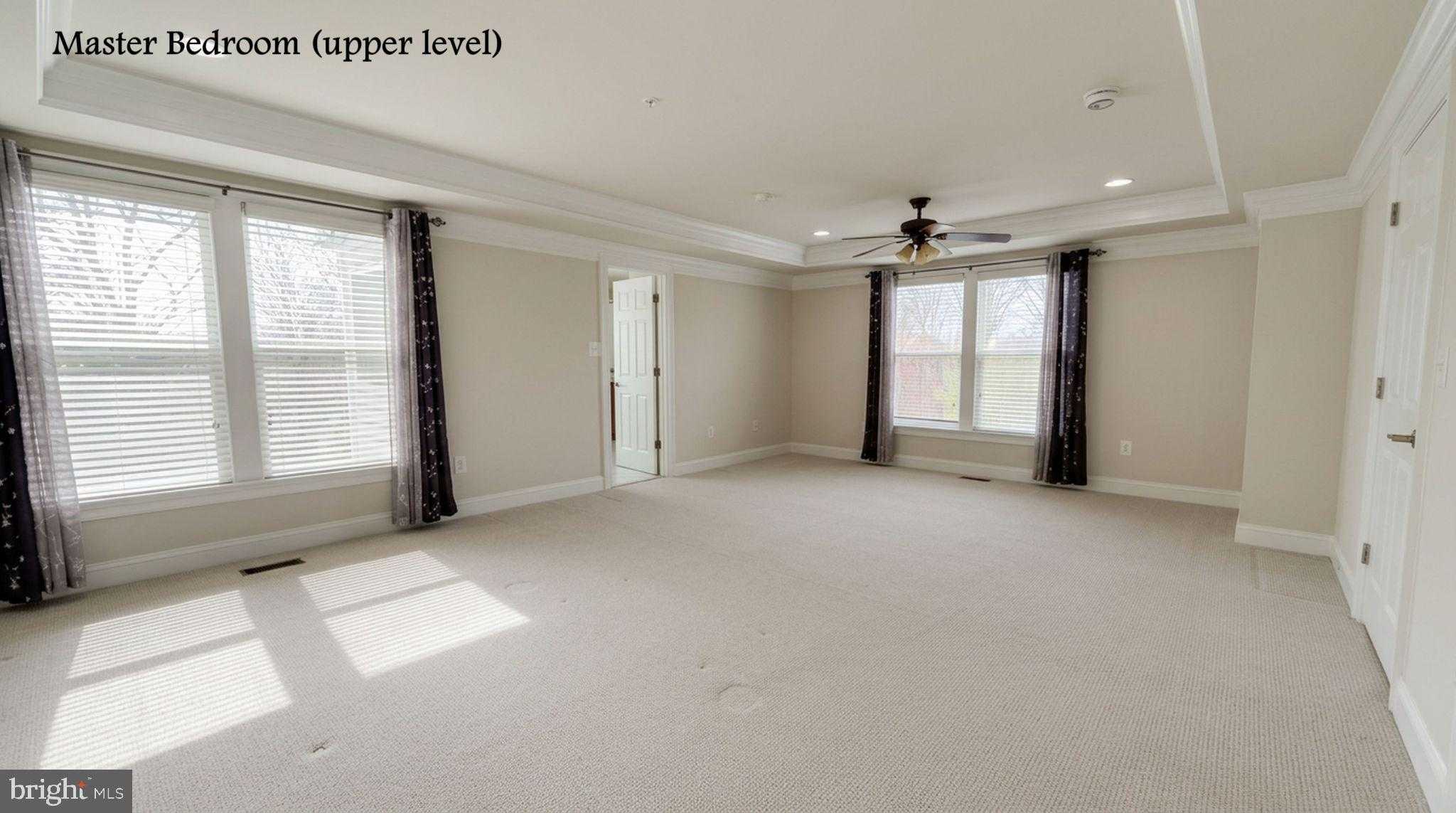 11808 Mango Ln photo 20