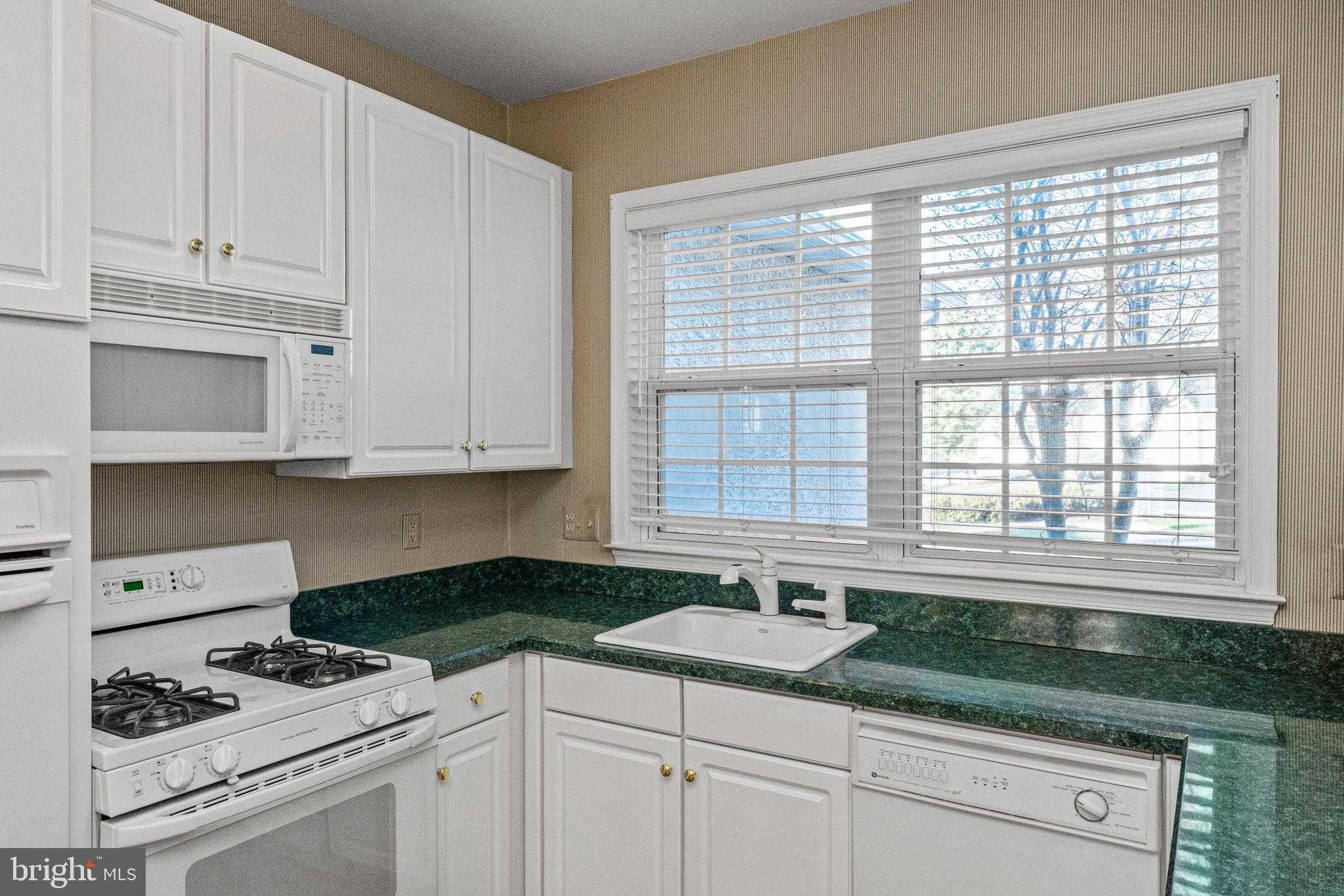 376 Hobson Pl photo 8