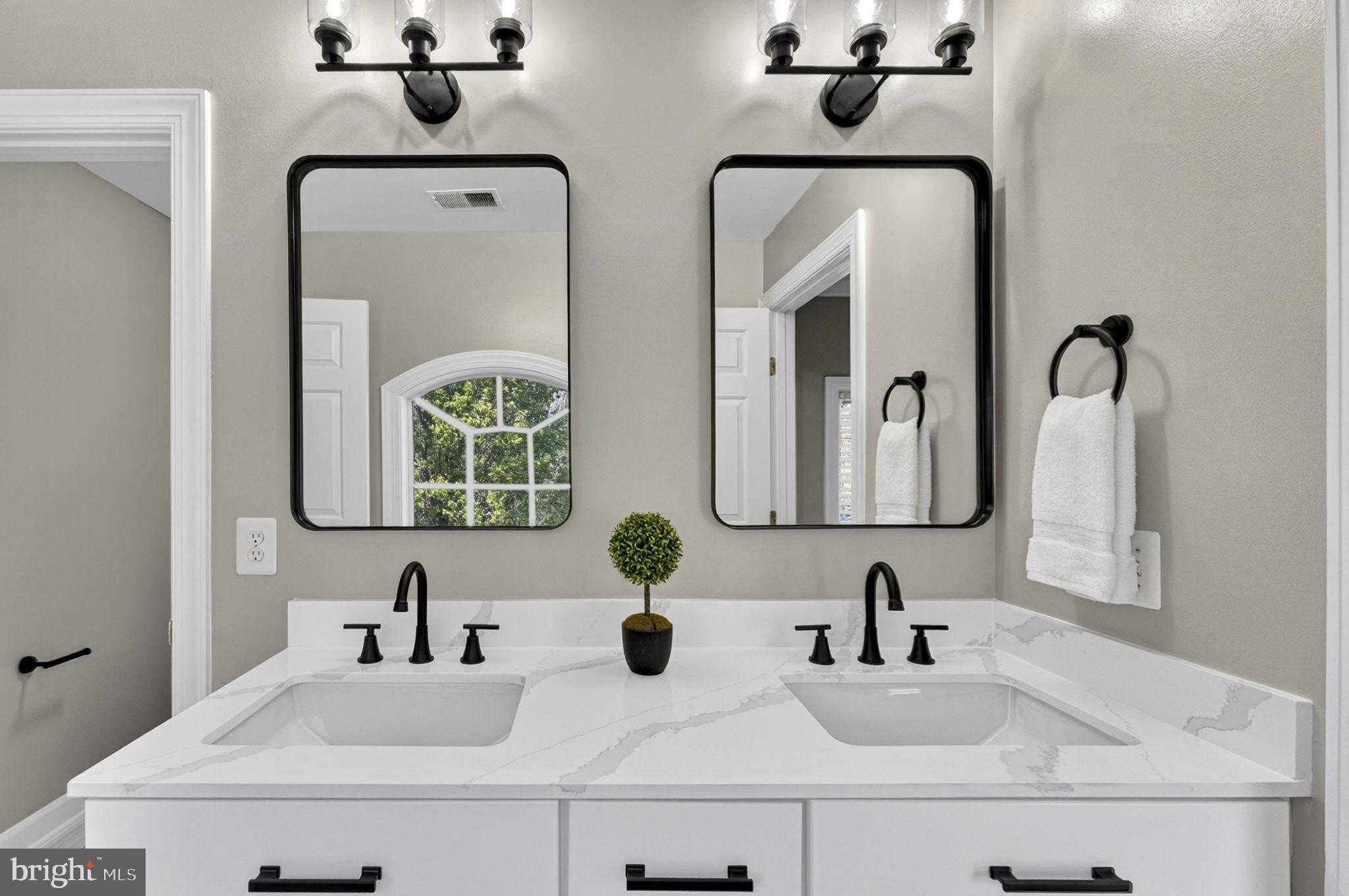 6358 Barn Owl CT photo 57