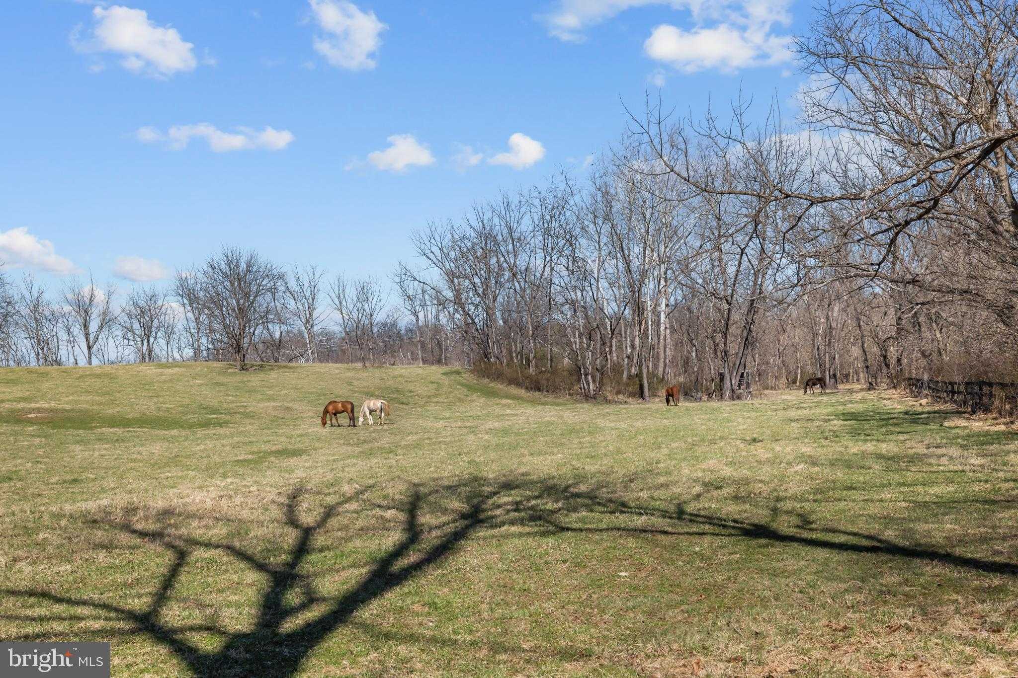 36025 Snickersville Tpke photo 111