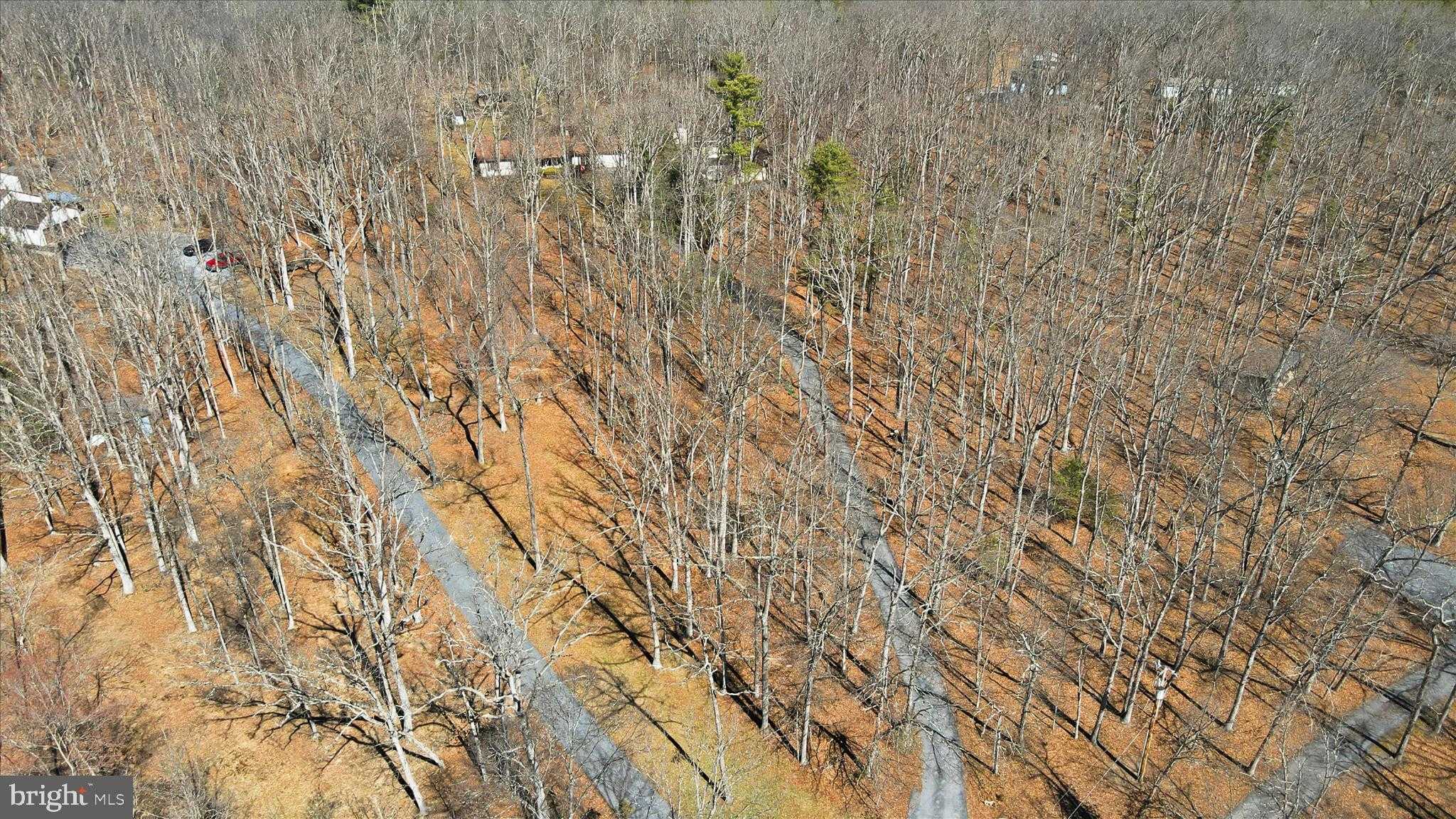 139 Arcadia Rd photo 28